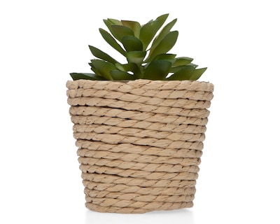 Foto 1 | Foto 1 | Planta Artificial con Maceta Starhaus 12 cm