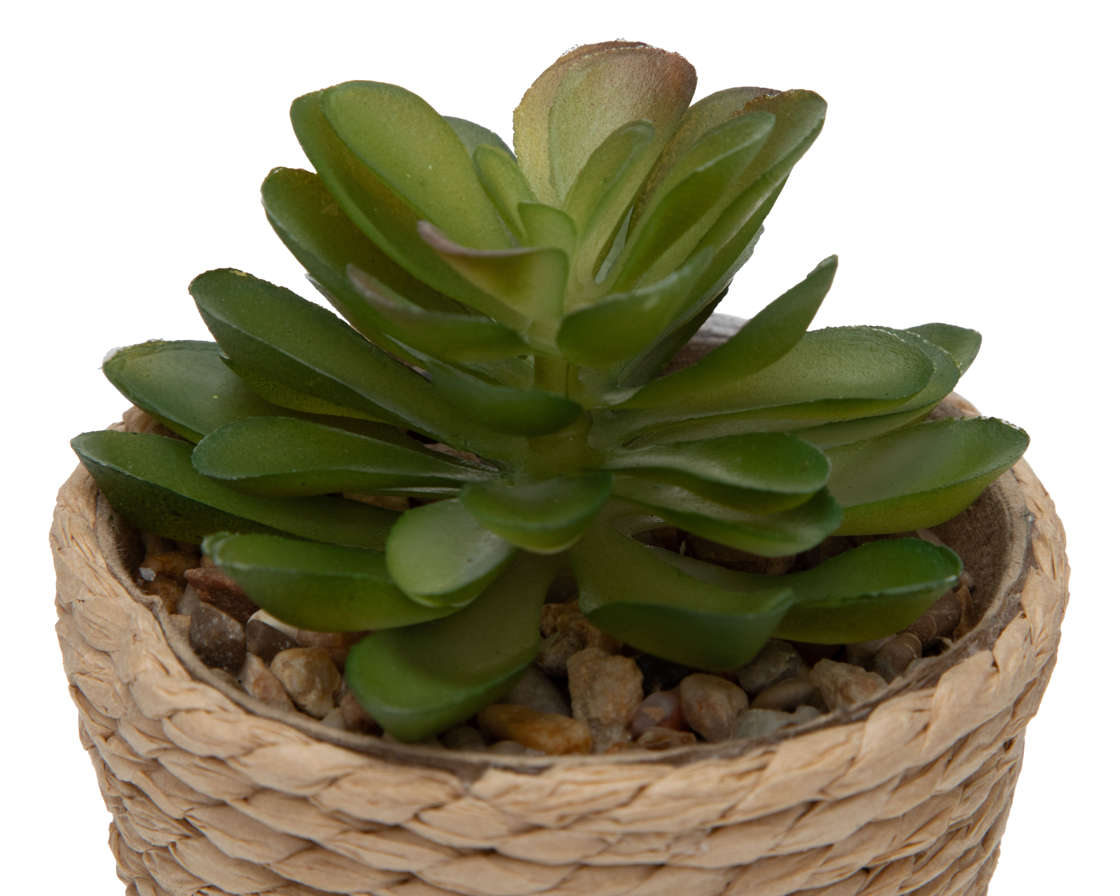 Foto 4 pulgar | Foto 3 | Planta Artificial con Maceta Starhaus 12 cm