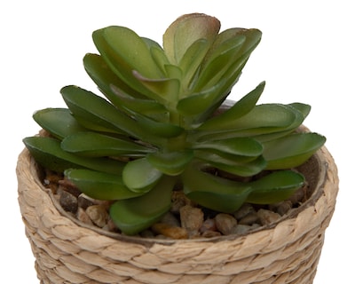 Foto 3 | Foto 3 | Planta Artificial con Maceta Starhaus 12 cm