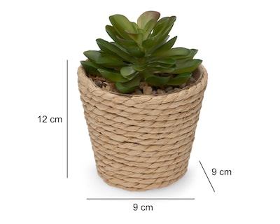 Foto 5 | Foto 5 | Planta Artificial con Maceta Starhaus 12 cm