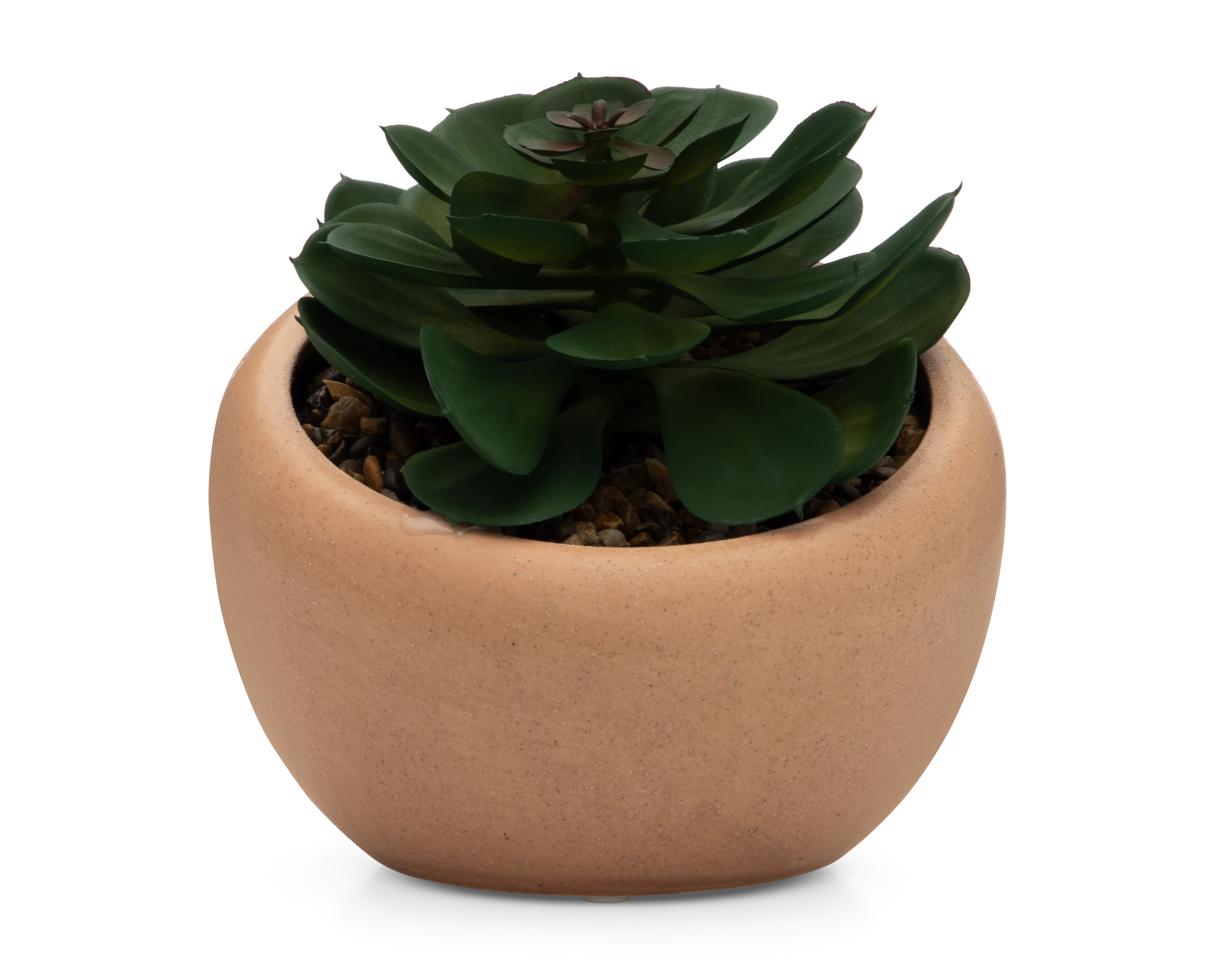 Suculenta Artificial con Maceta Starhaus 16 cm