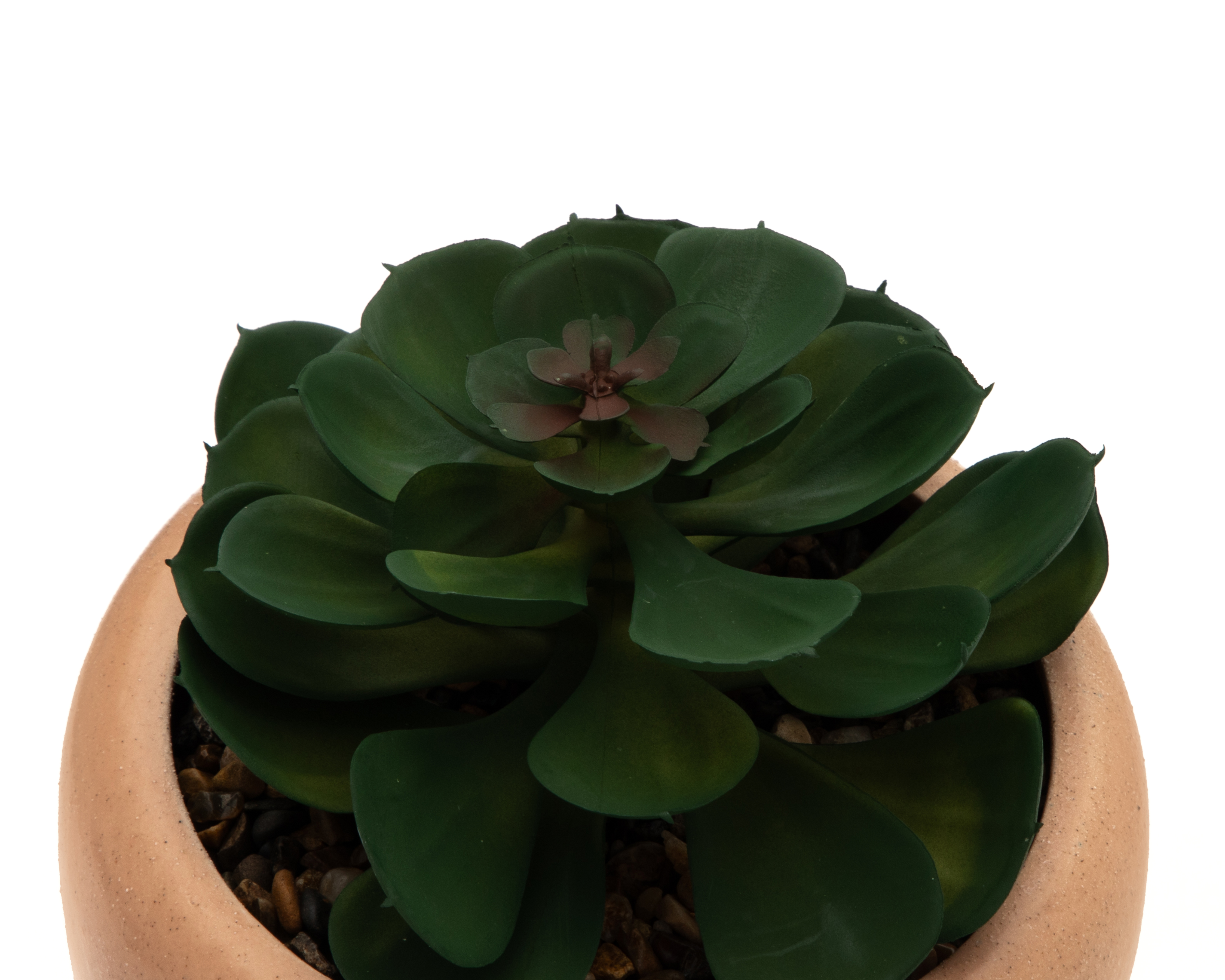 Foto 4 pulgar | Foto 3 | Suculenta Artificial con Maceta Starhaus 16 cm