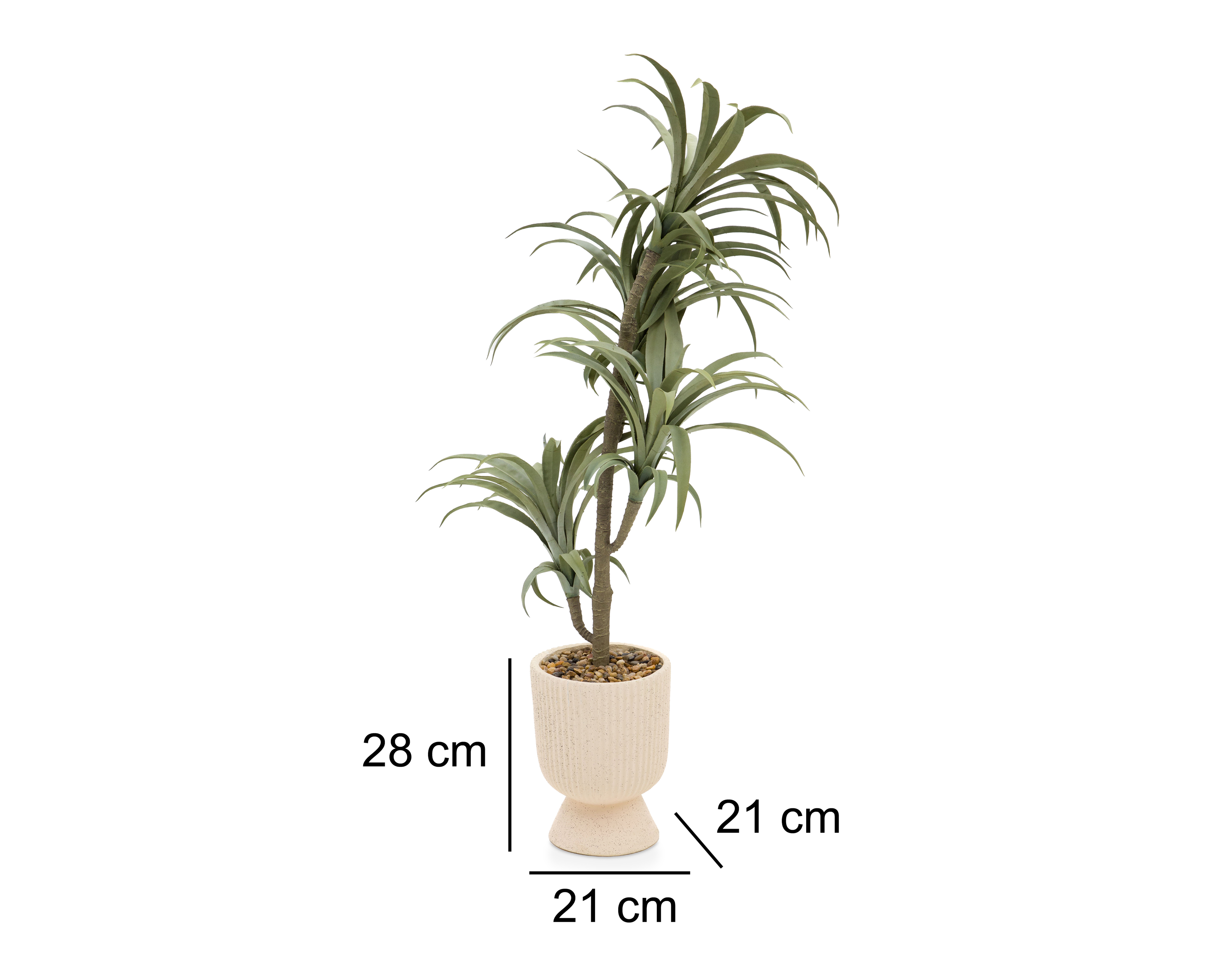 Foto 5 | Foto 5 | Árbol de Dragón con Maceta Starhaus 28 cm