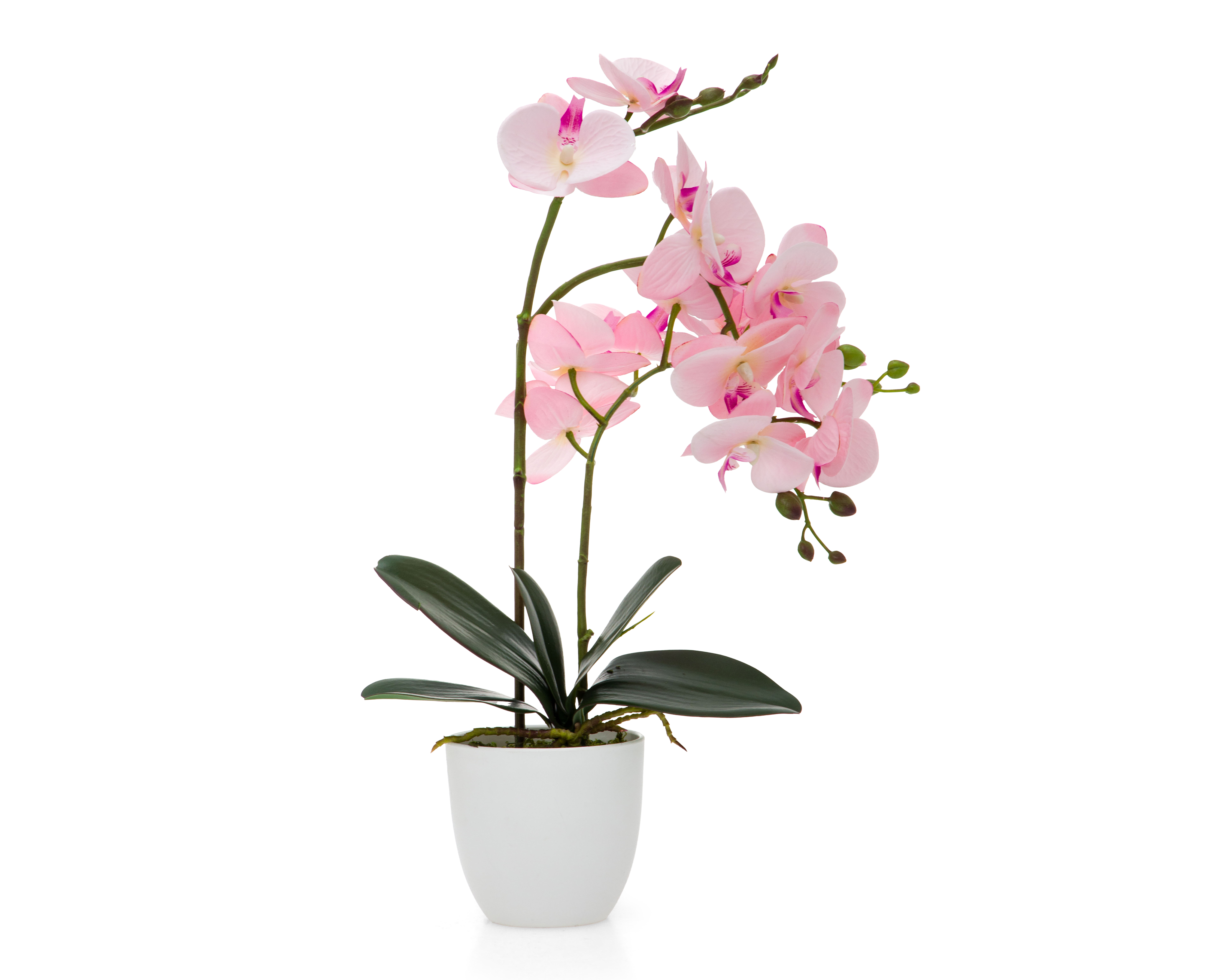 Orquídea Artificial con Maceta Starhaus 50 cm