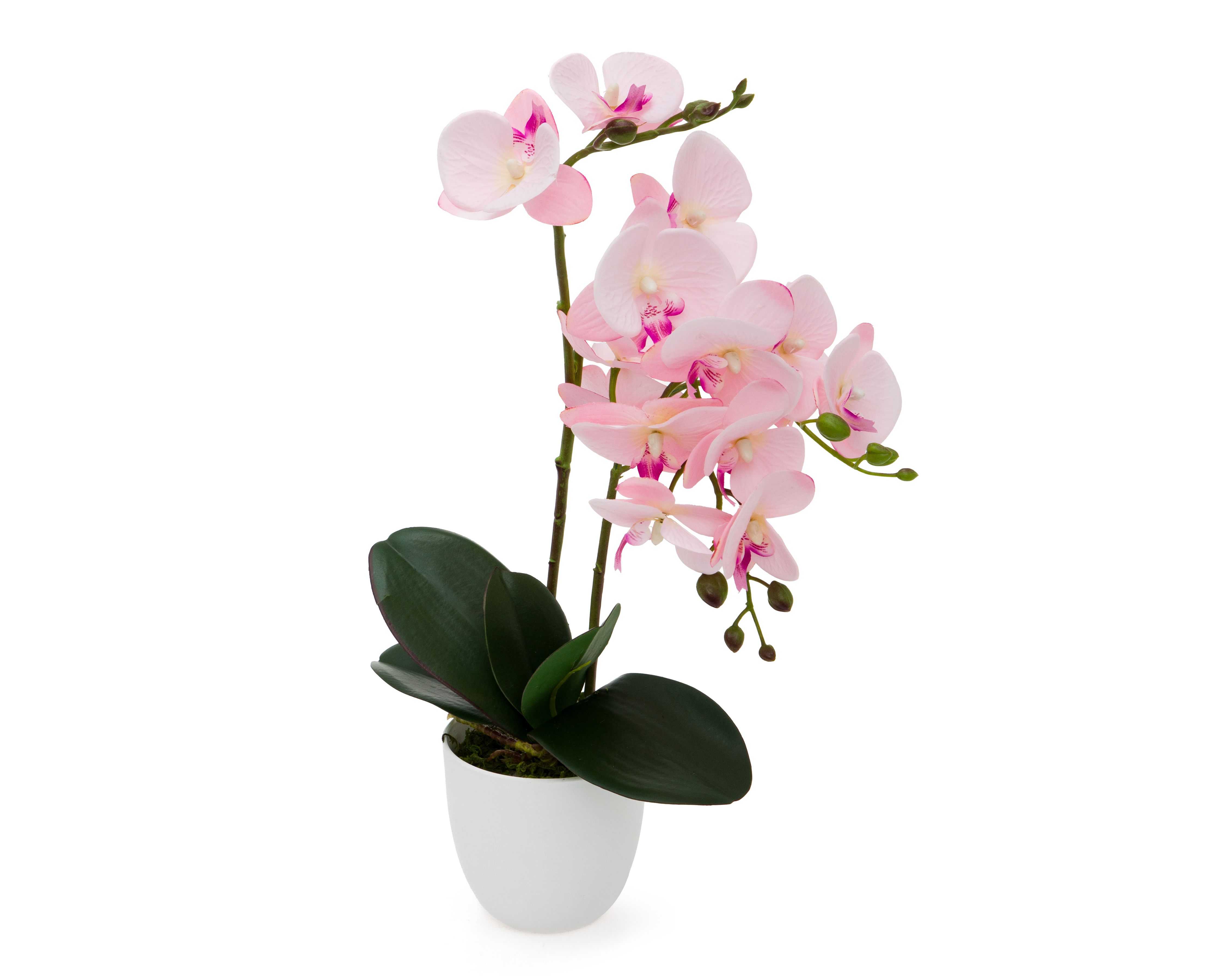 Foto 3 pulgar | Foto 2 | Orquídea Artificial con Maceta Starhaus 50 cm