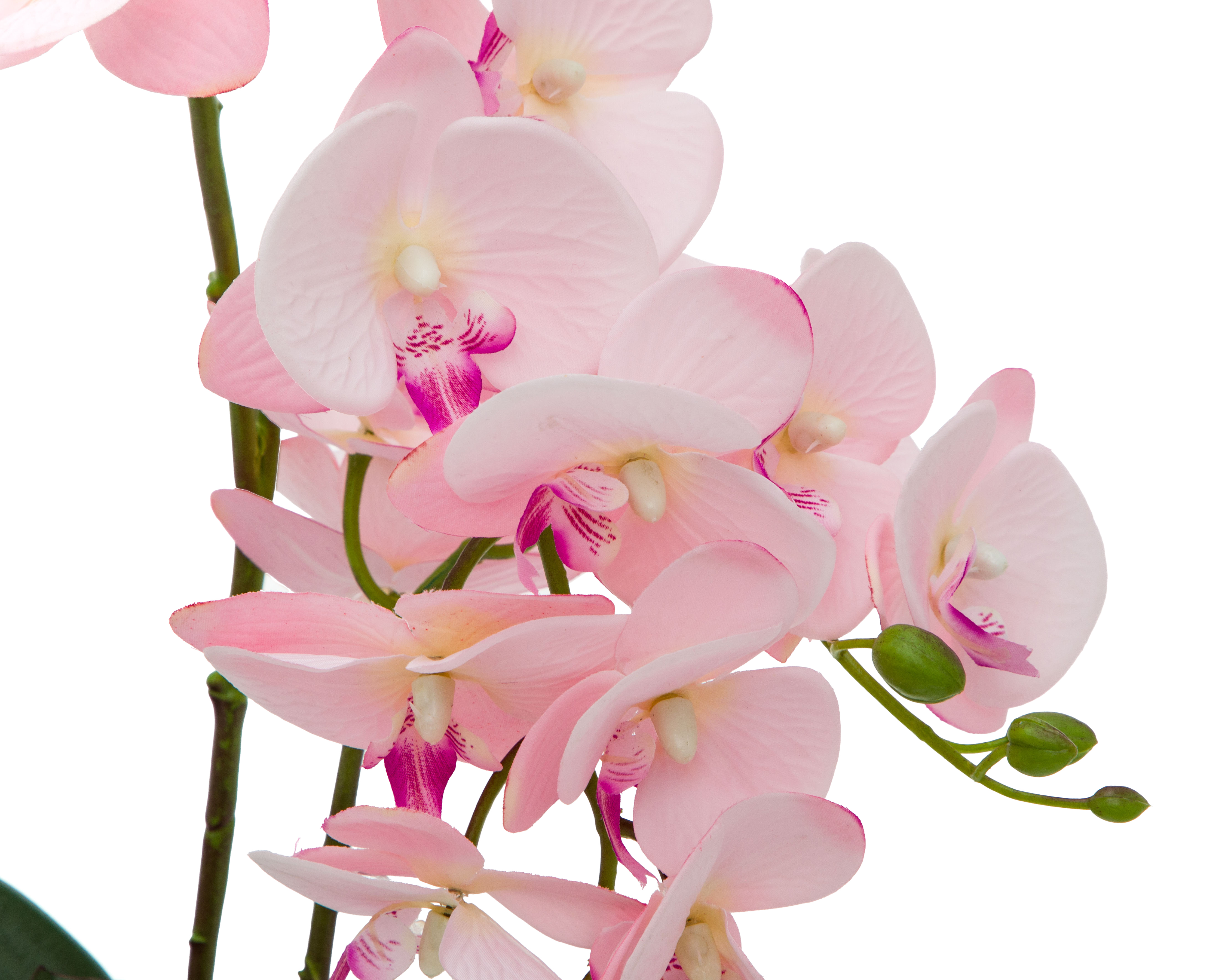 Foto 4 pulgar | Foto 3 | Orquídea Artificial con Maceta Starhaus 50 cm