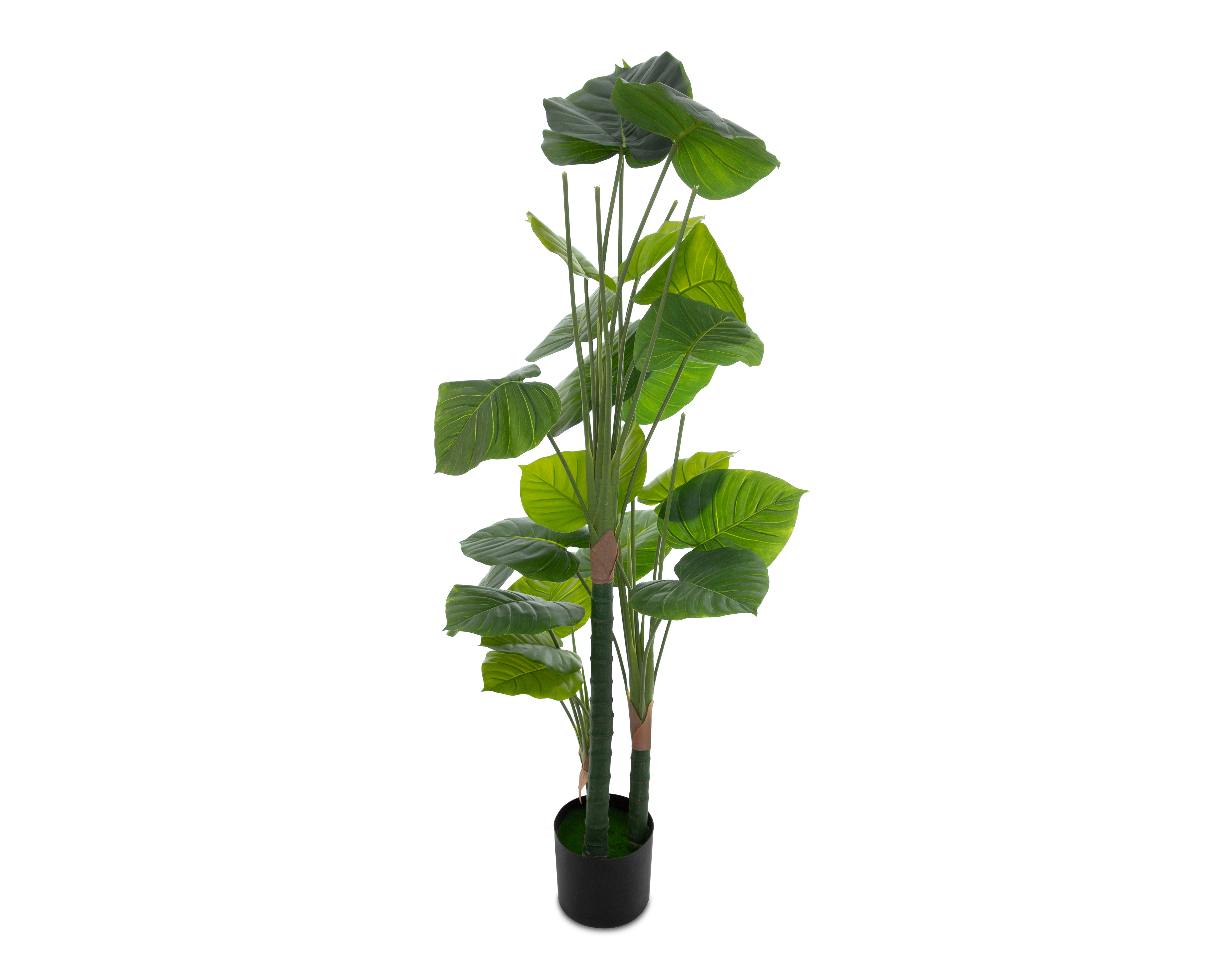 Foto 3 pulgar | Foto 2 | Palma Areca Artificial con Maceta 154 cm