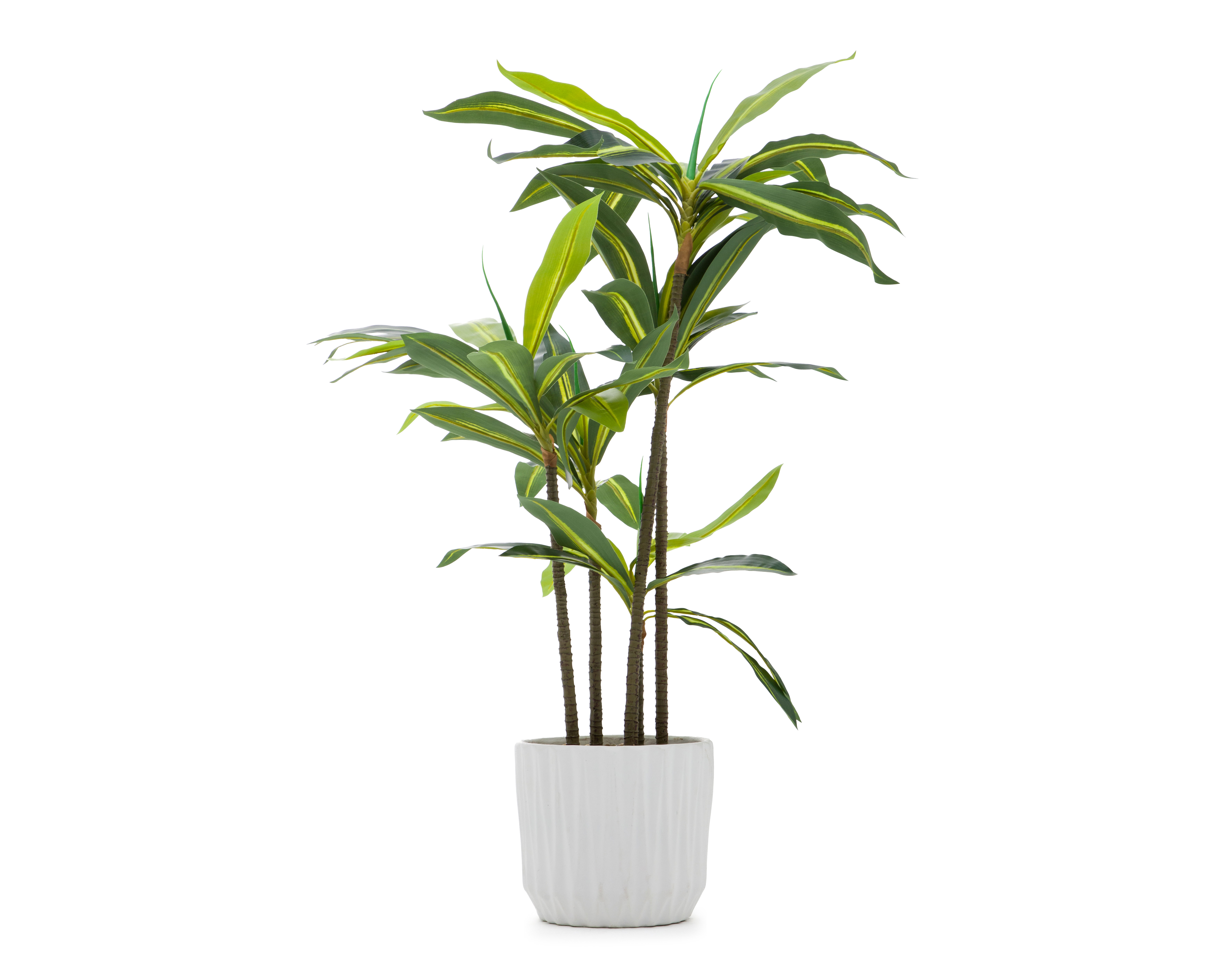 Foto 1 | Foto 1 | Palo de Brasil Artificial con Maceta Starhaus 112 cm