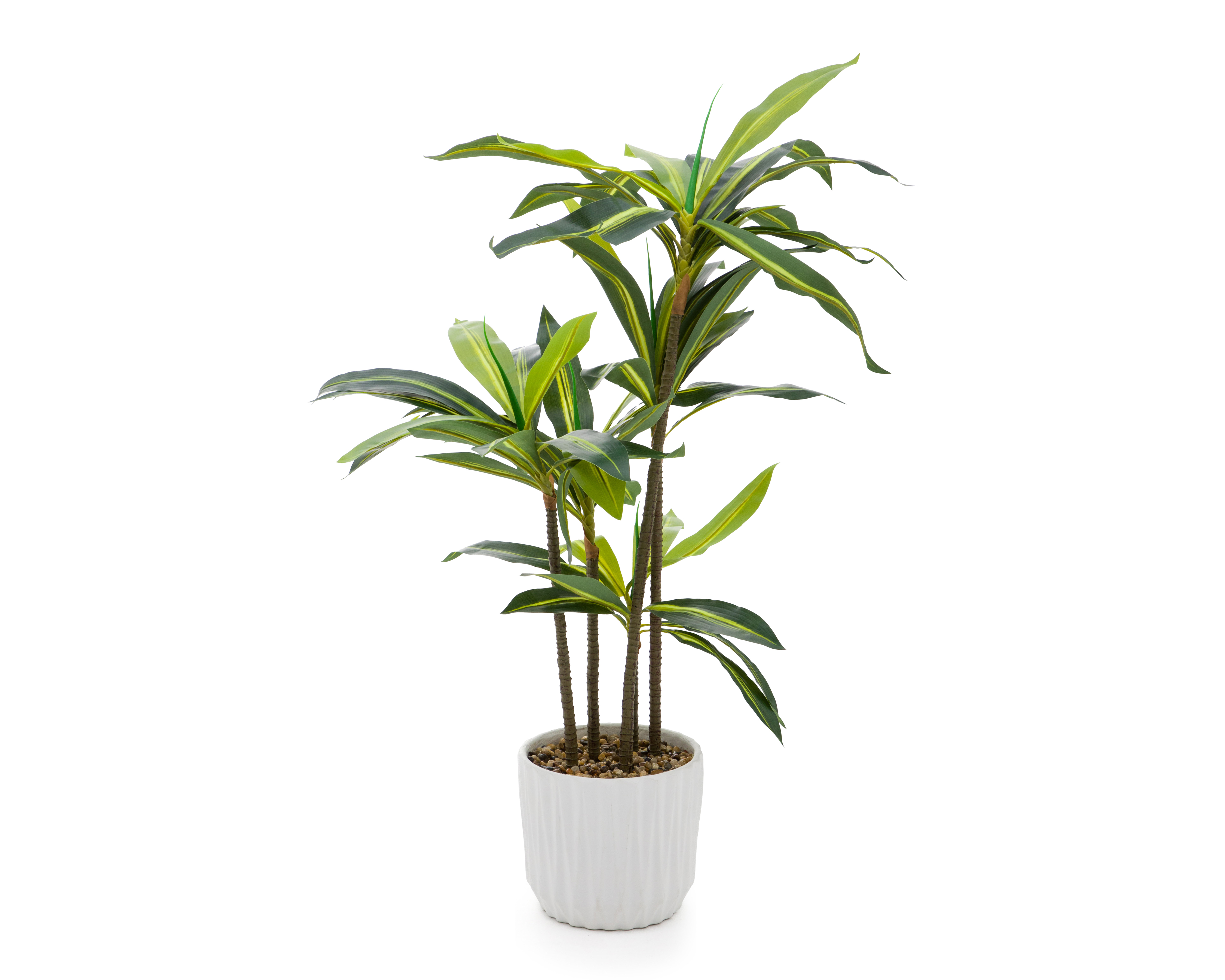 Foto 2 | Foto 2 | Palo de Brasil Artificial con Maceta Starhaus 112 cm