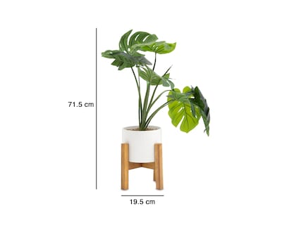 Foto 5 | Foto 5 | Planta Artificial con Maceta Starhaus 71.5 cm
