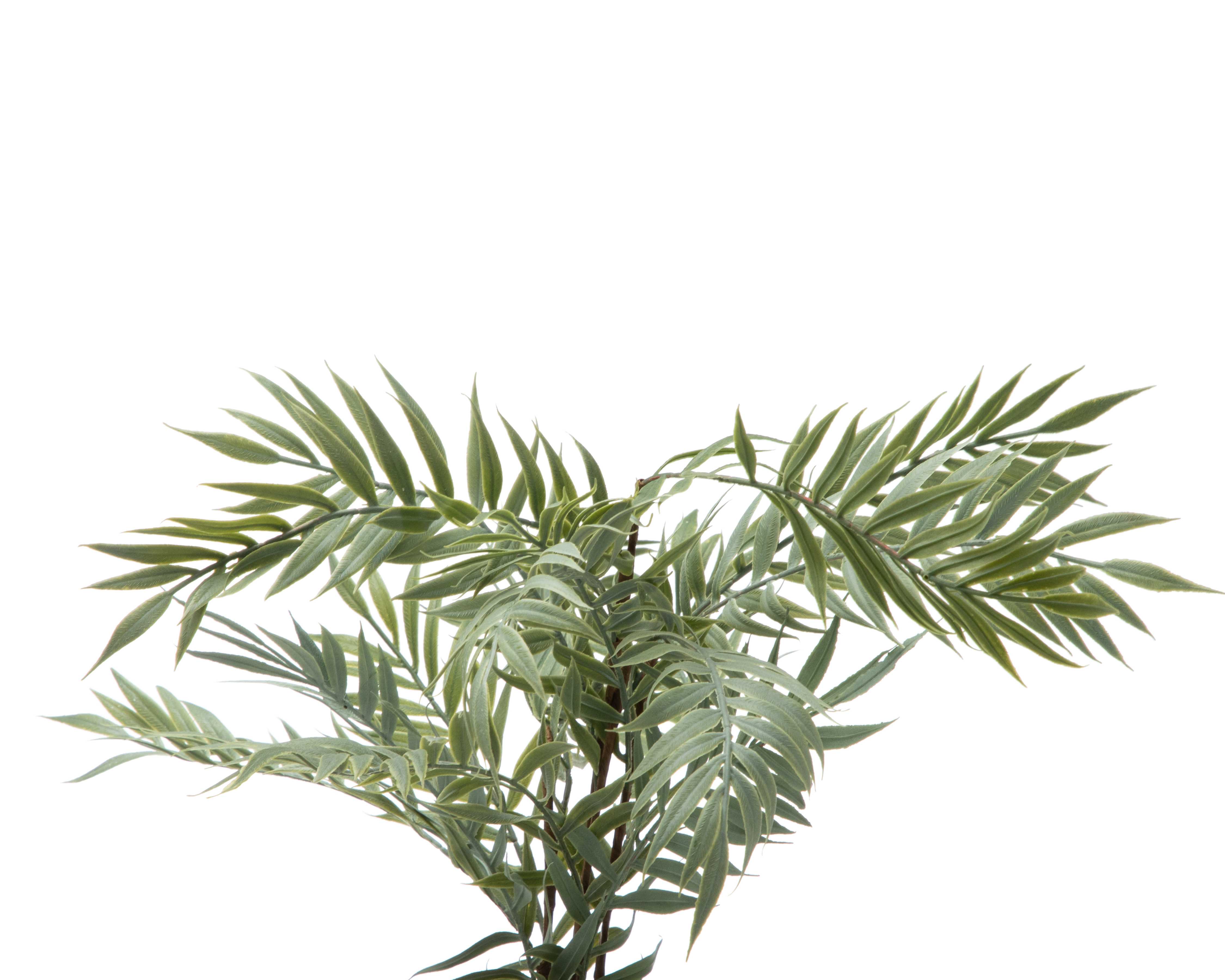 Foto 3 | Foto 3 | Chamaedorea Elegans Artifical con Maceta Starhaus 39.5 cm