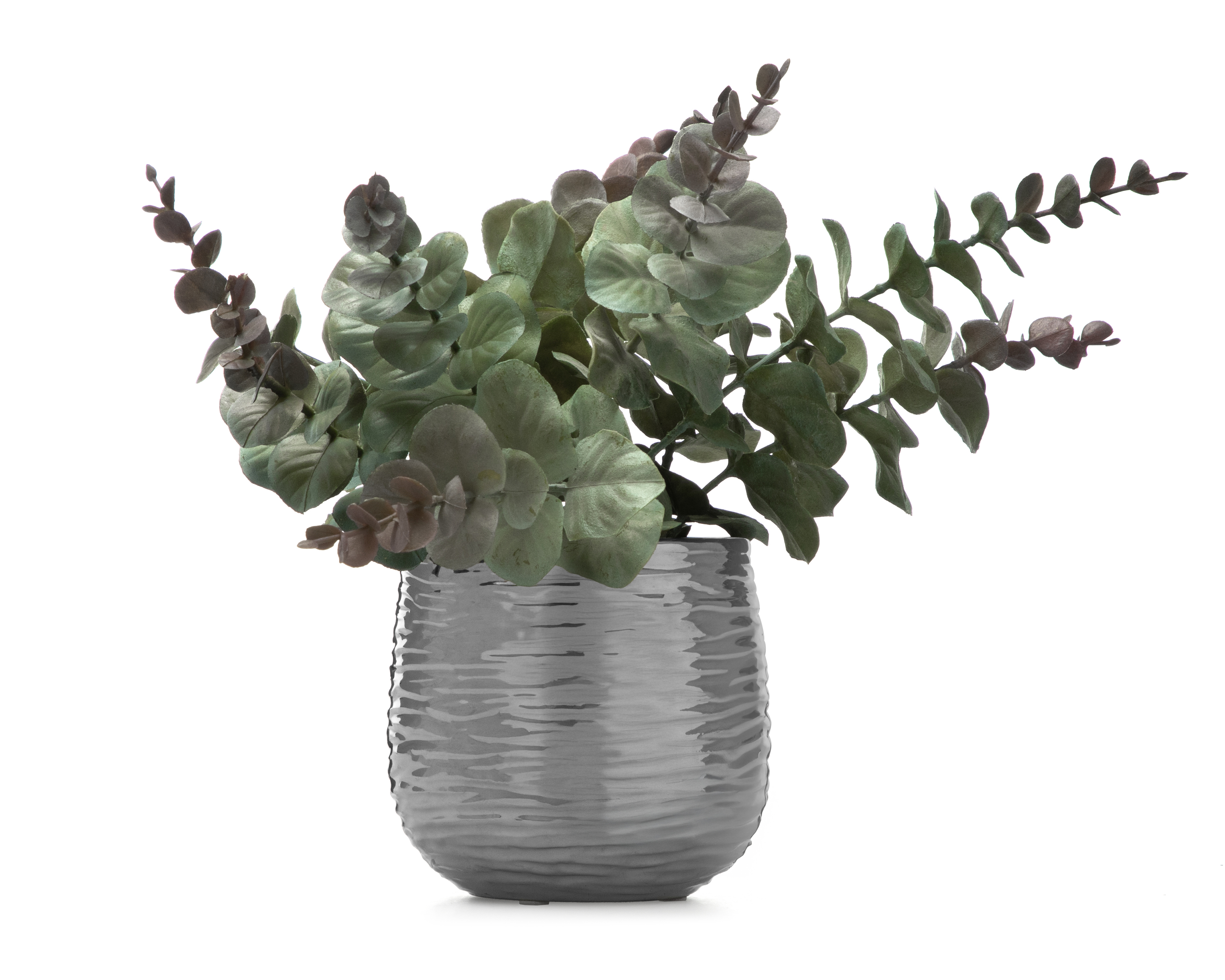 Eucalipto Artificial con Maceta Starhaus 27 cm