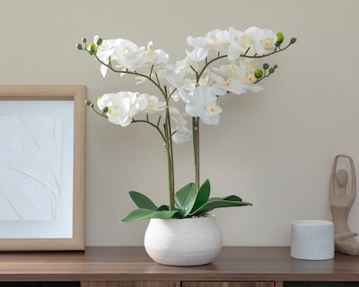 Foto 4 | Foto 4 | Orquídea Artificial con Maceta Starhaus 48 cm