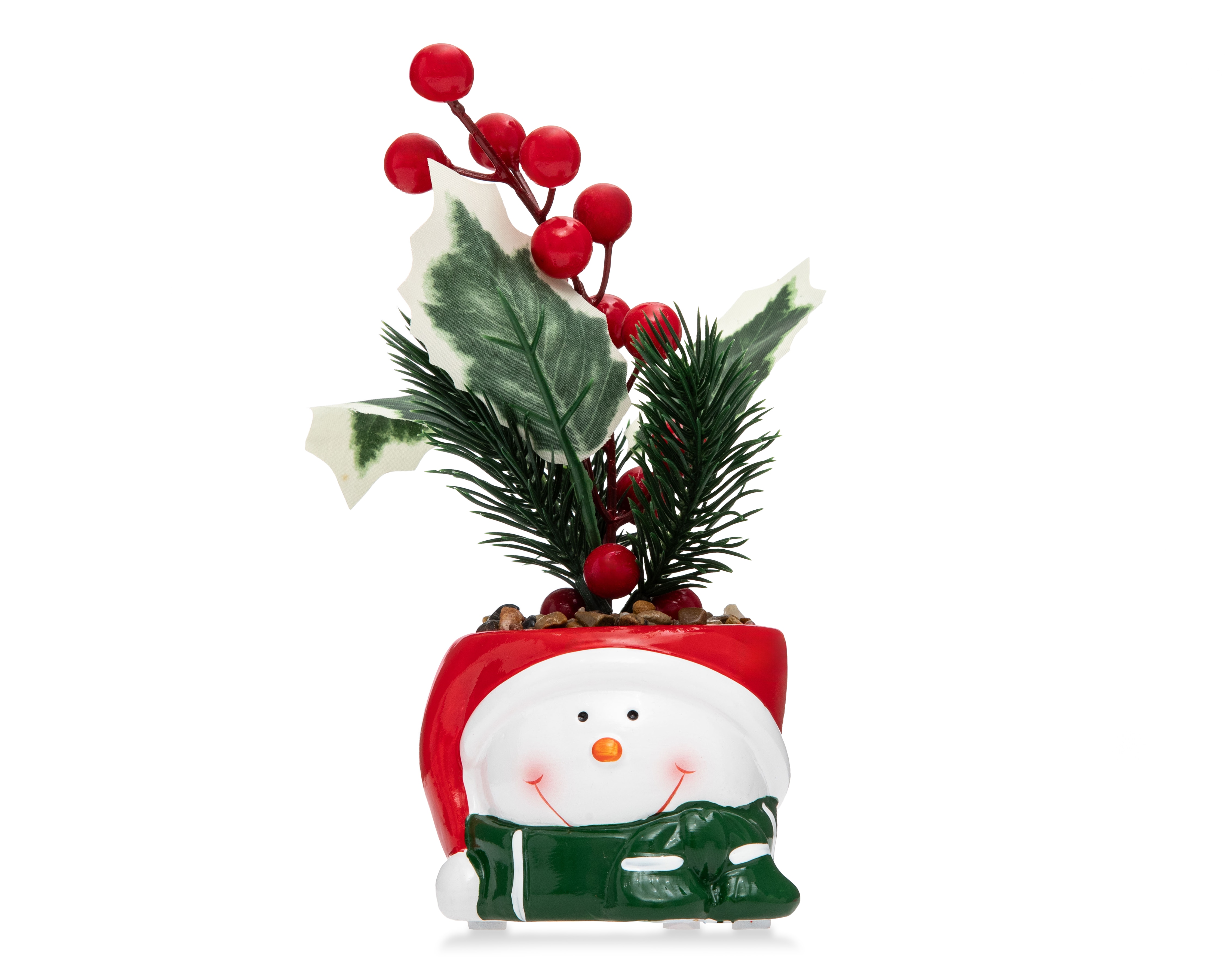 Planta Decorativa Starhaus Snowman Rusco 18 cm