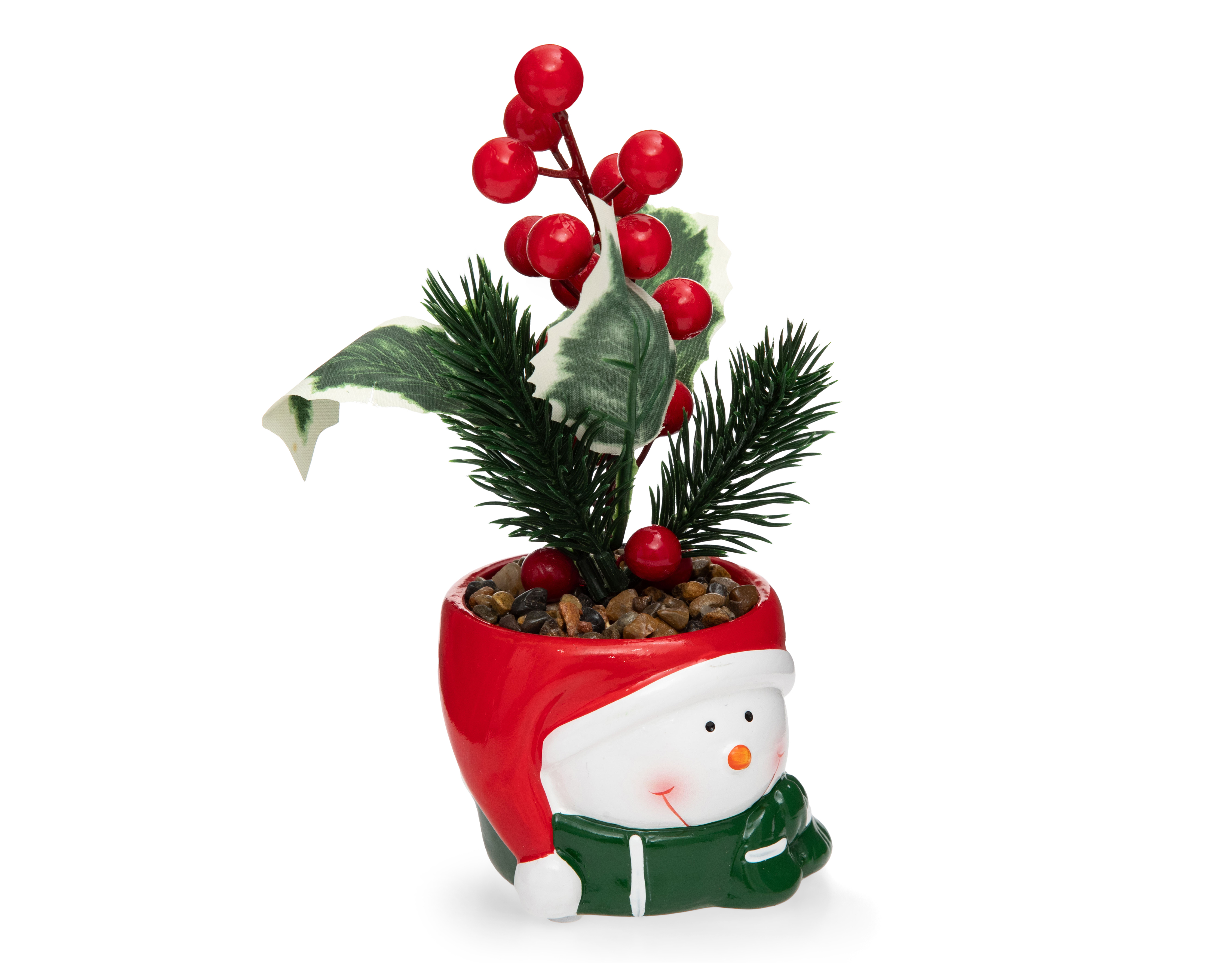 Foto 3 pulgar | Foto 2 | Planta Decorativa Starhaus Snowman Rusco 18 cm