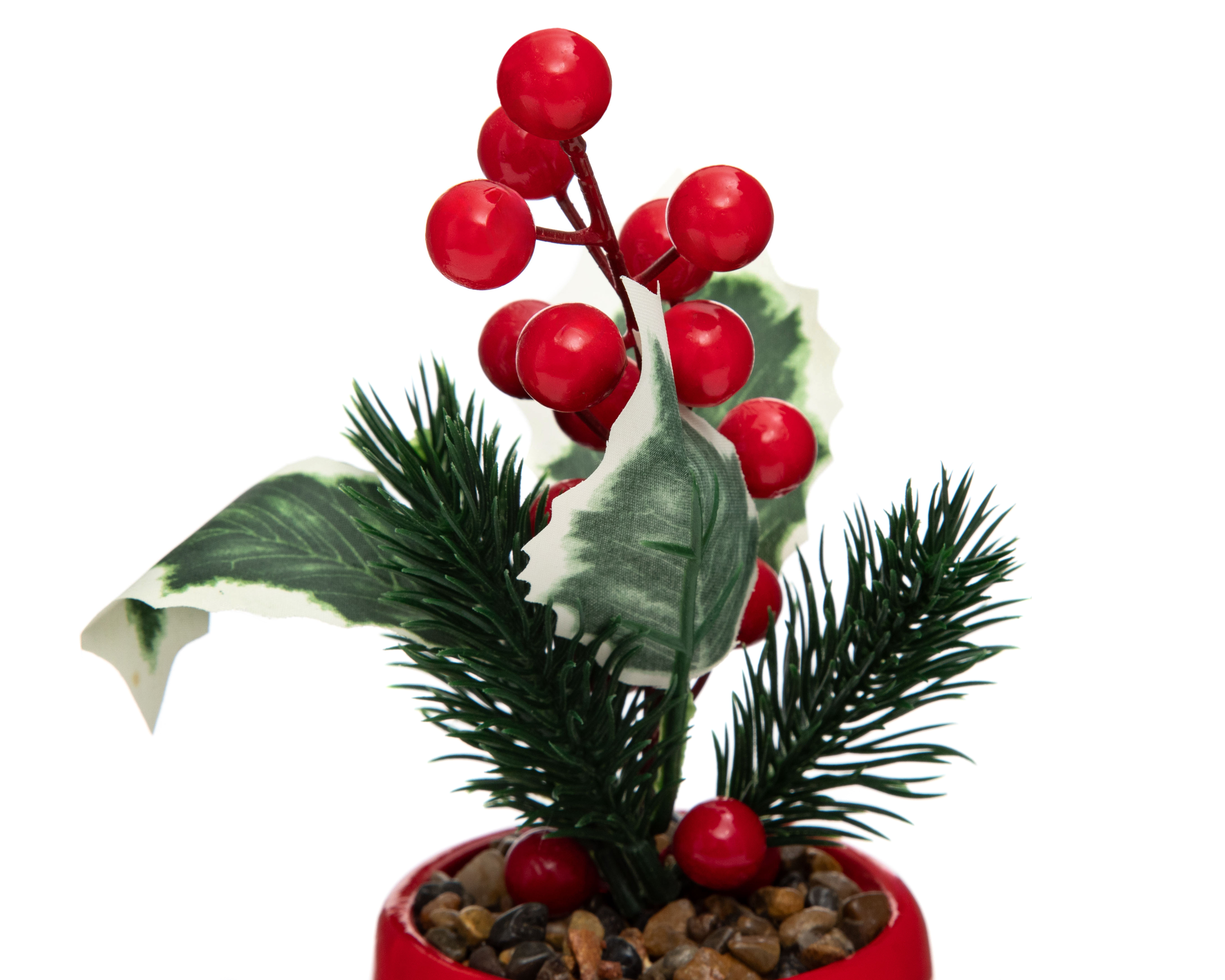 Foto 4 pulgar | Foto 3 | Planta Decorativa Starhaus Snowman Rusco 18 cm