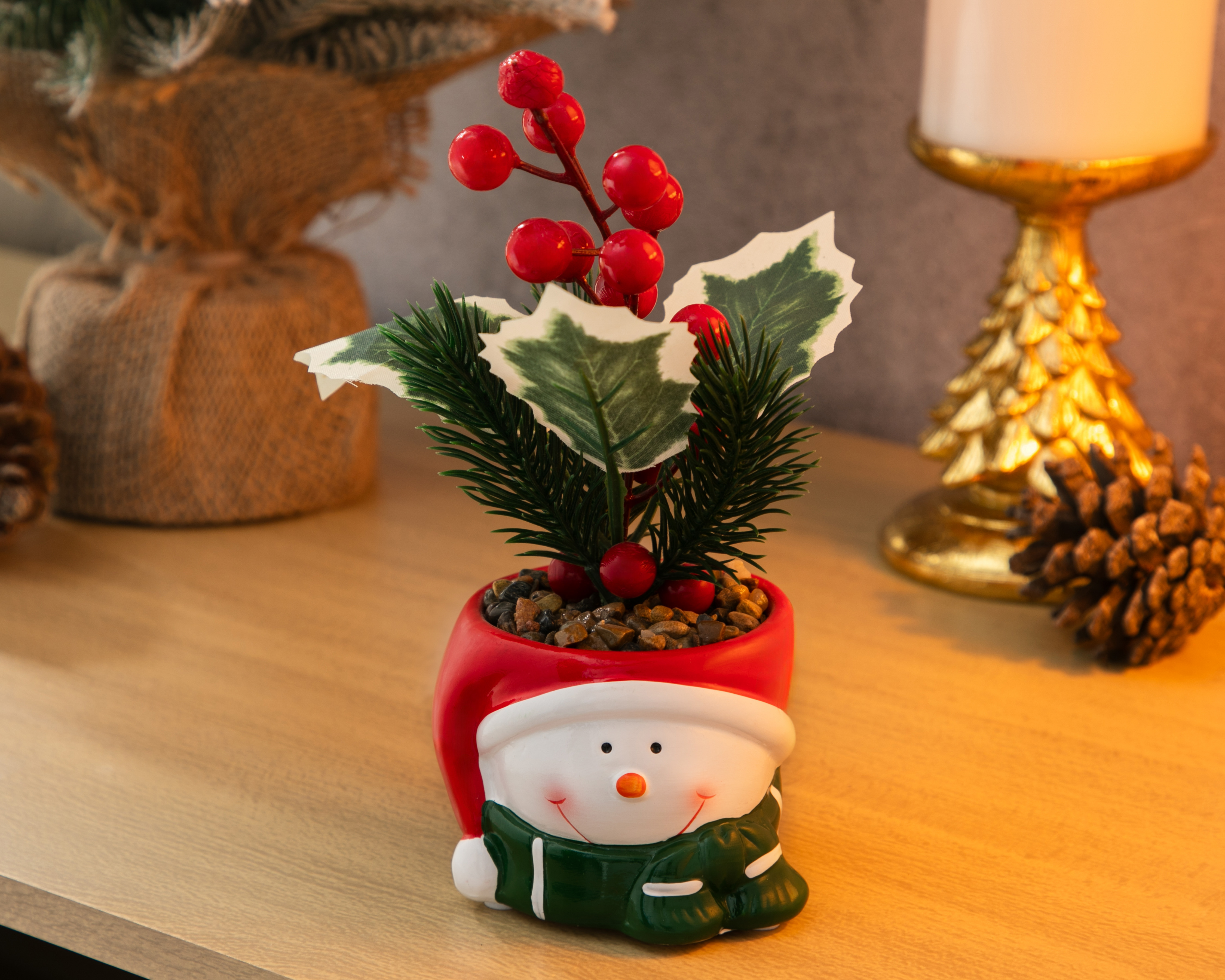 Foto 5 pulgar | Foto 4 | Planta Decorativa Starhaus Snowman Rusco 18 cm