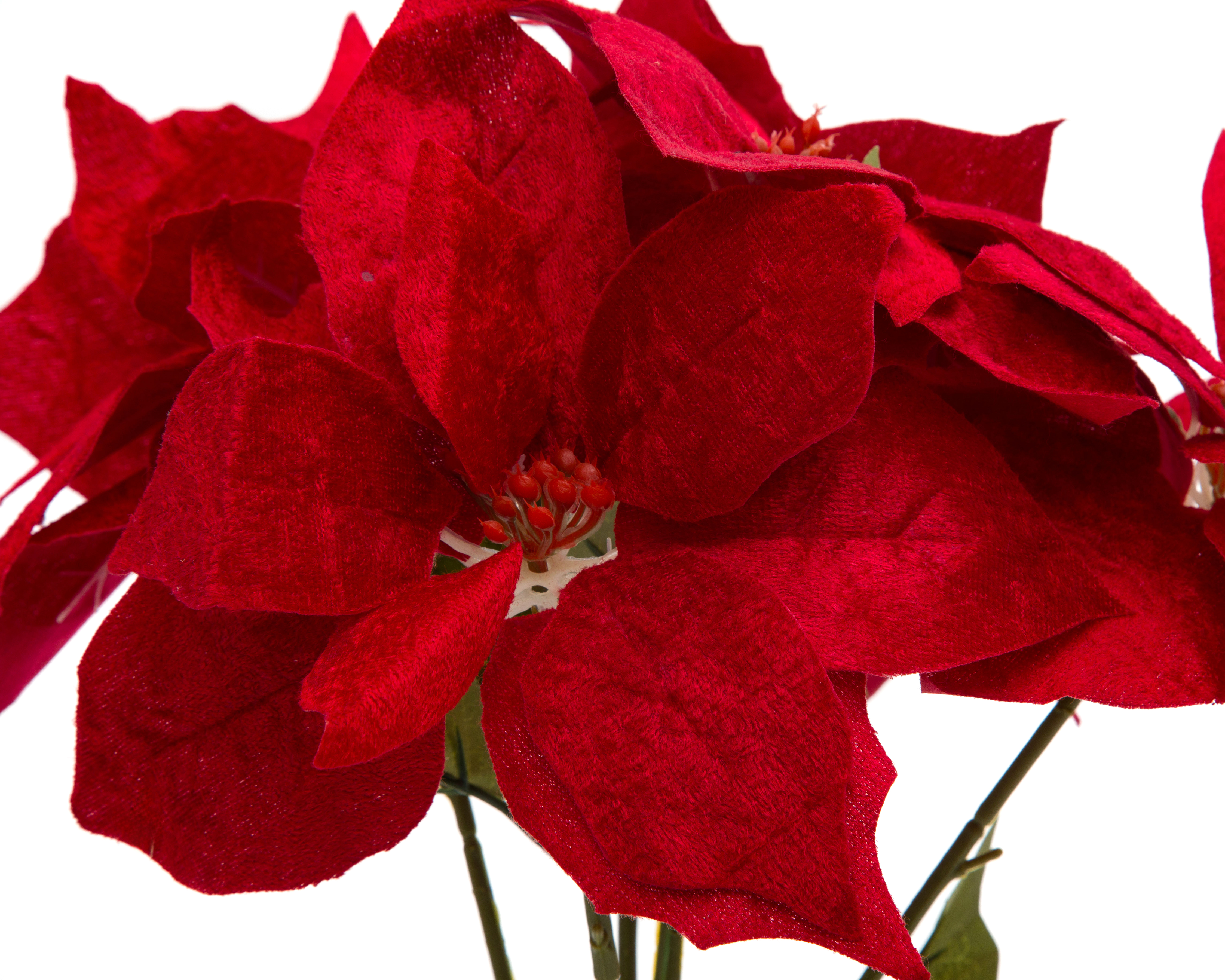 Foto 3 | Foto 3 | Planta Artificial Poinsetias 38 cm