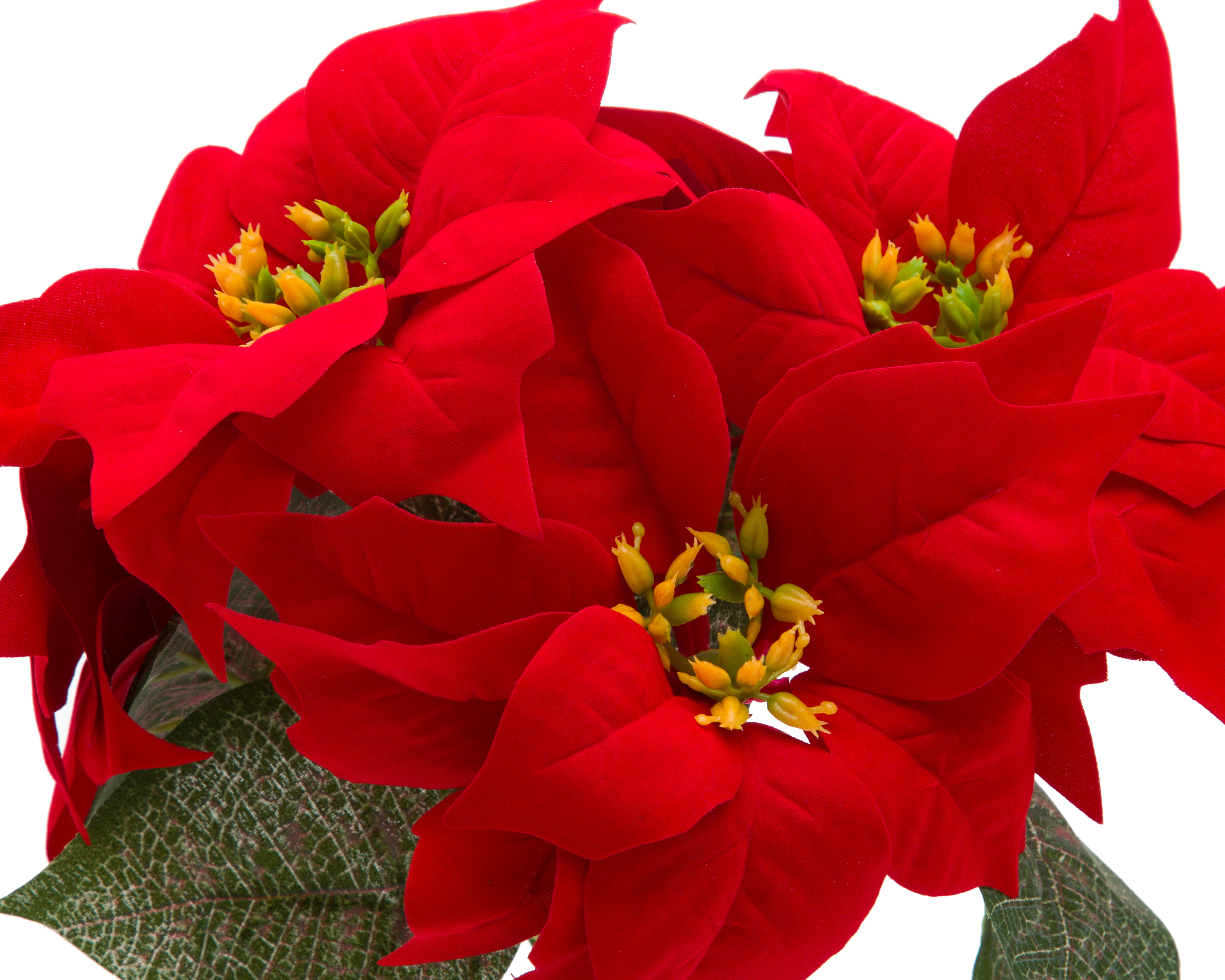 Foto 4 pulgar | Foto 3 | Nochebuena Artificial con Maceta Starhaus 30 cm