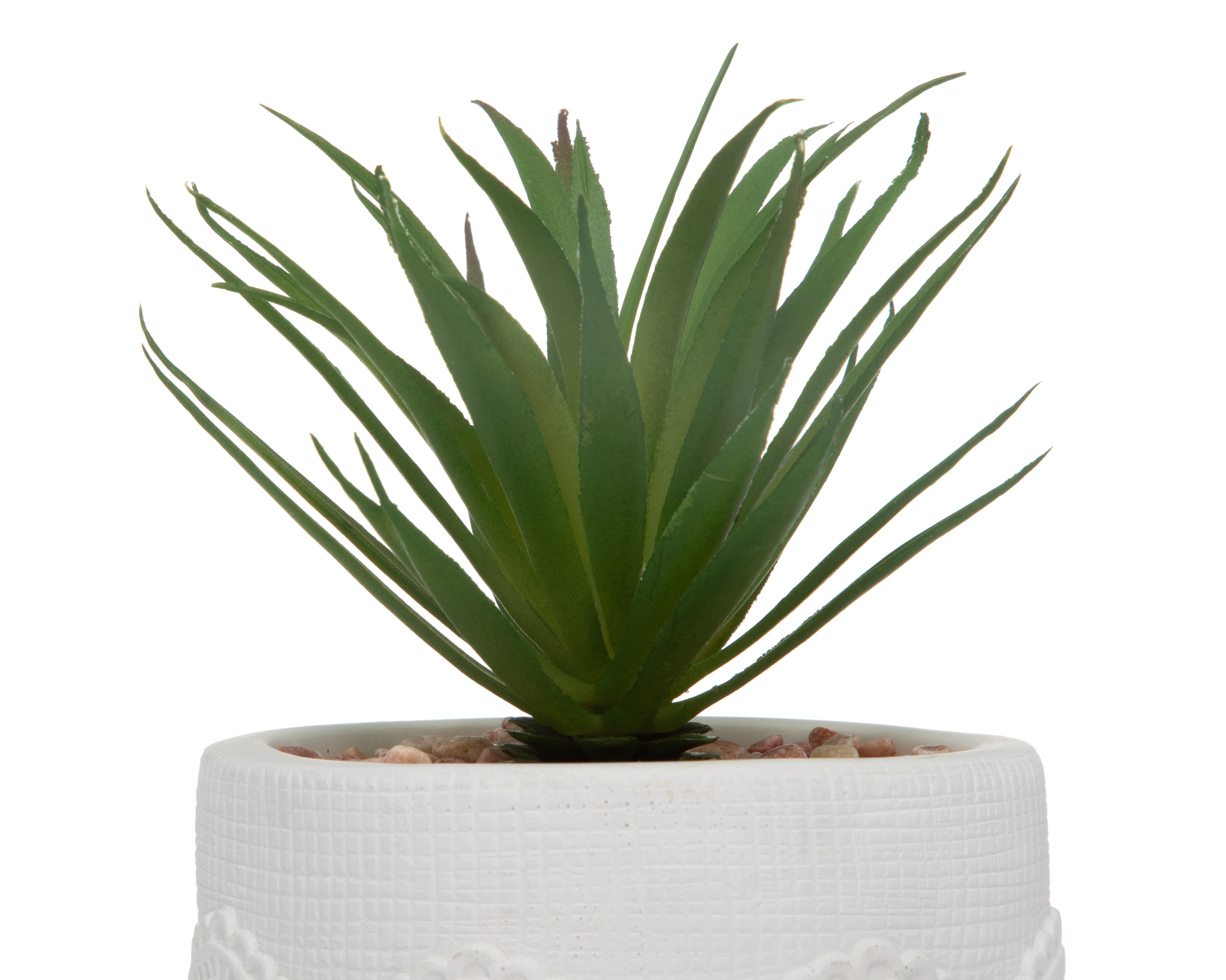 Foto 4 pulgar | Foto 3 | Planta Decorativa Jordana
