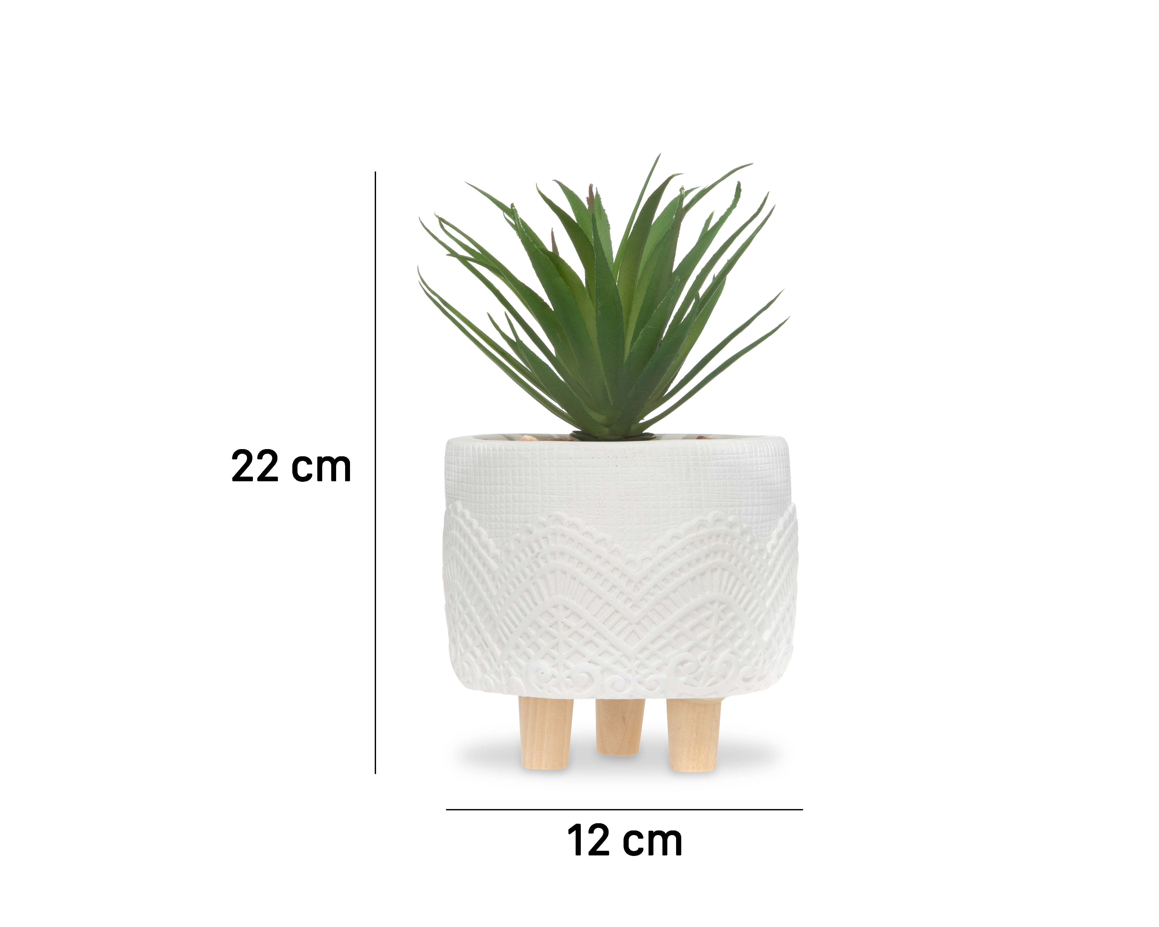 Foto 5 pulgar | Foto 4 | Planta Decorativa Jordana