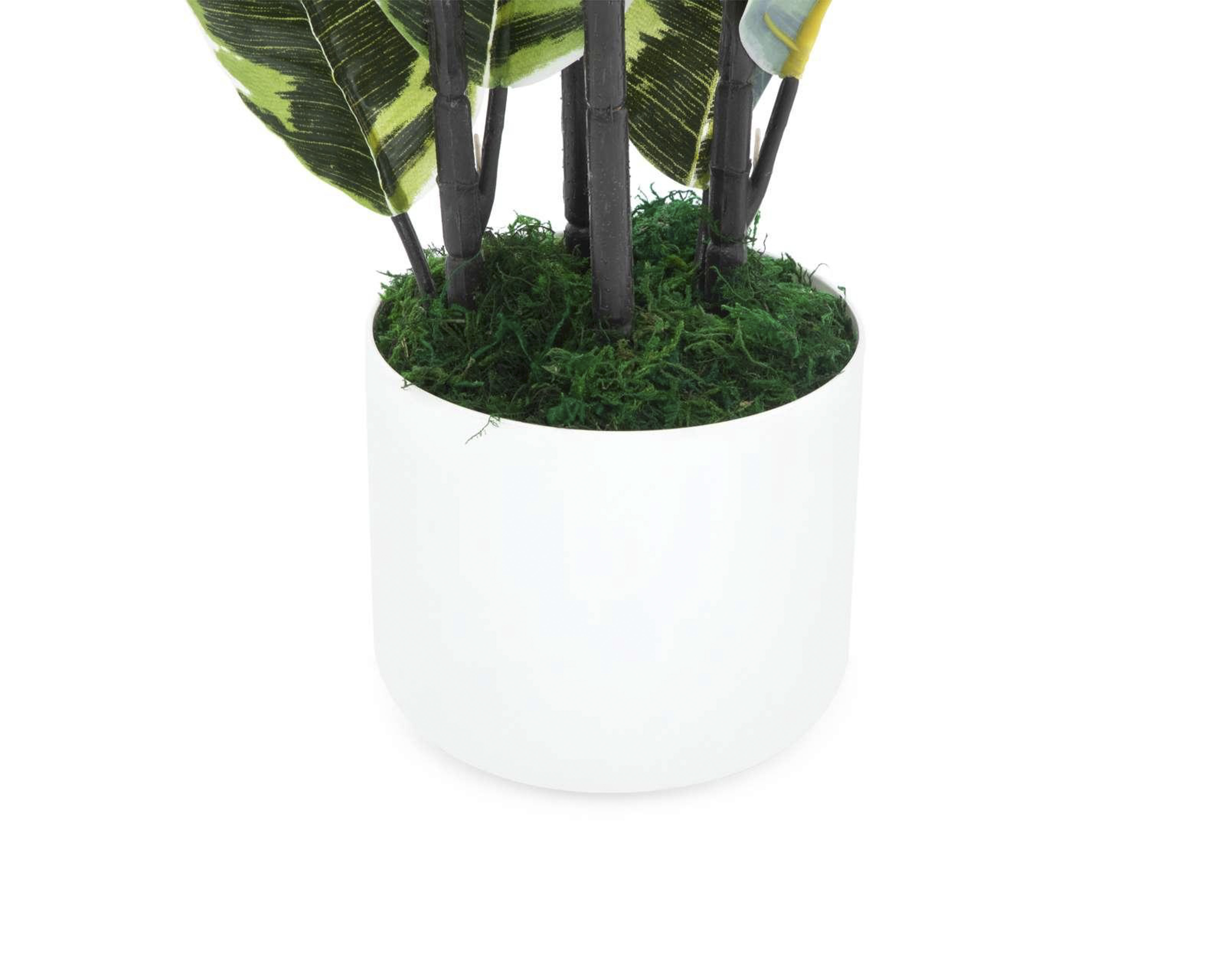 Foto 4 | Foto 4 | Planta Artificial con Maceta Starhaus 90 cm