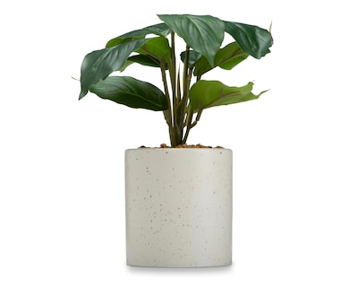 Foto 1 | Foto 1 | Calathea Artificial con Maceta Starhaus 25 cm