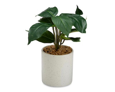 Foto 2 | Foto 2 | Calathea Artificial con Maceta Starhaus 25 cm