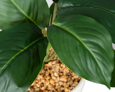 Foto 3 | Foto 3 | Calathea Artificial con Maceta Starhaus 25 cm