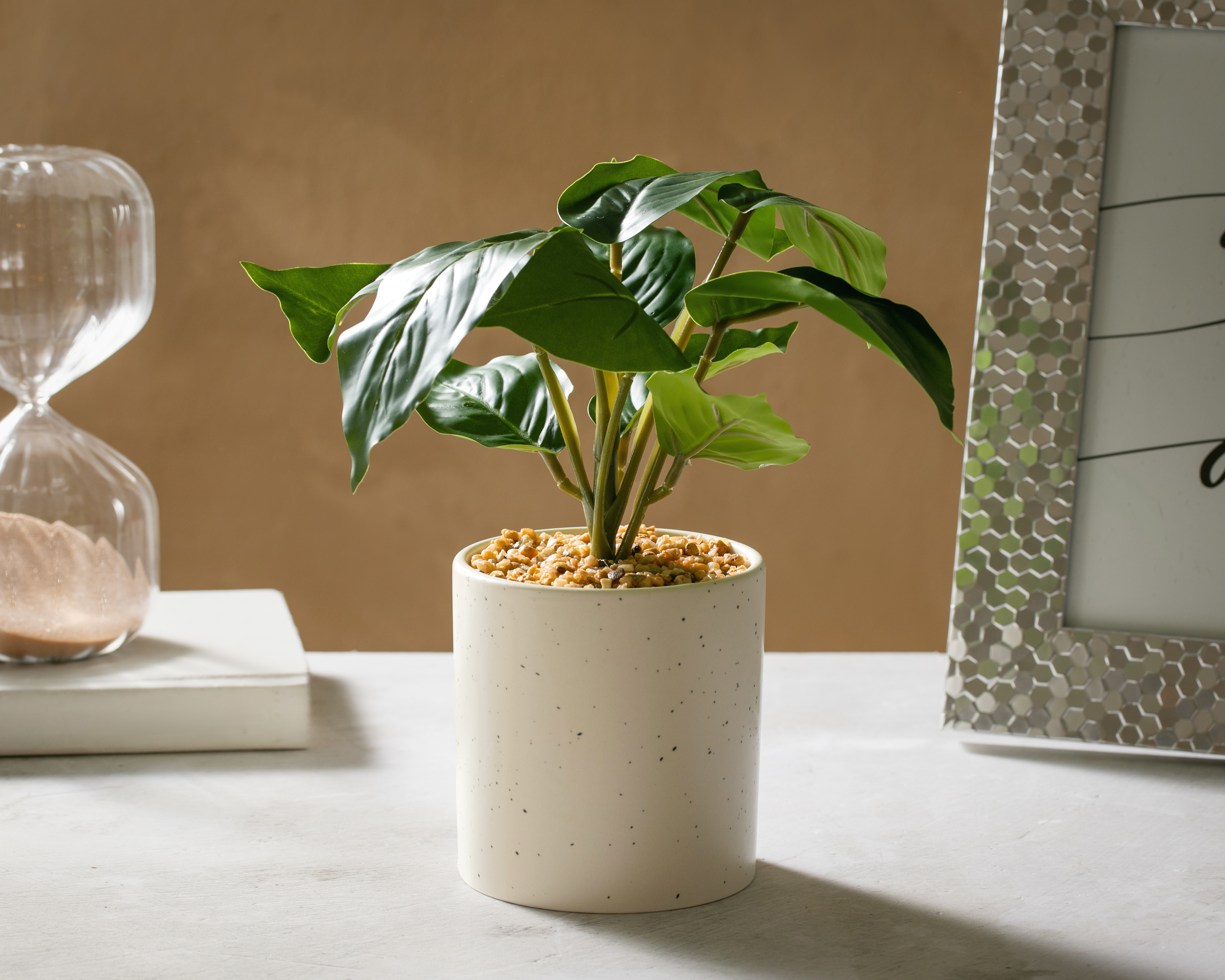 Foto 5 pulgar | Foto 4 | Calathea Artificial con Maceta Starhaus 25 cm