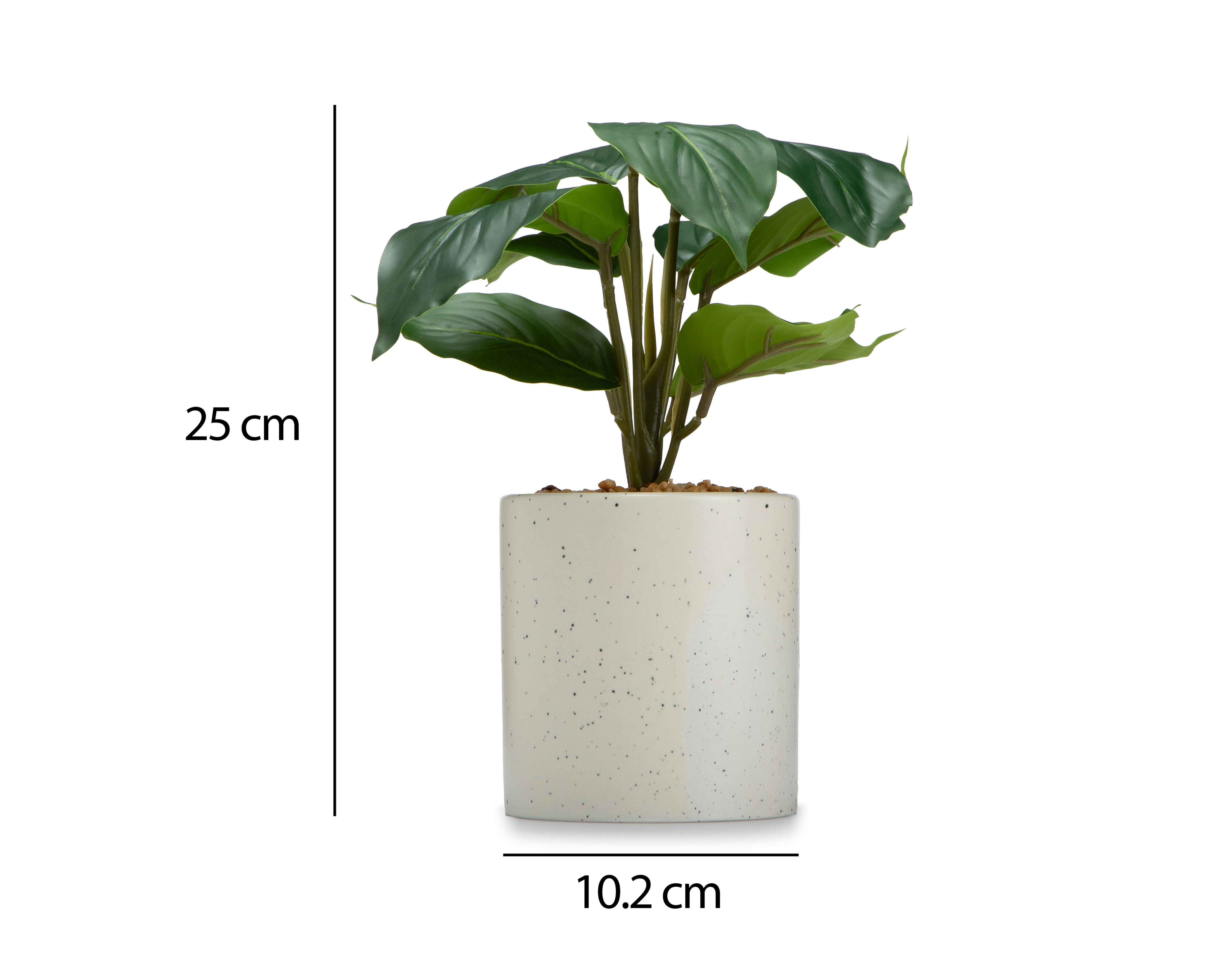 Foto 6 pulgar | Foto 5 | Calathea Artificial con Maceta Starhaus 25 cm