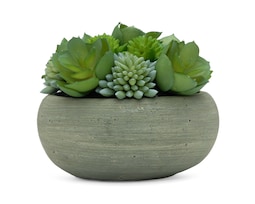 Suculenta Artificial con Maceta Starhaus 10 cm
