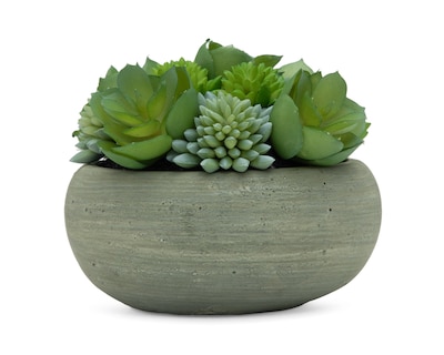 Foto 1 | Foto 1 | Suculenta Artificial con Maceta Starhaus 10 cm