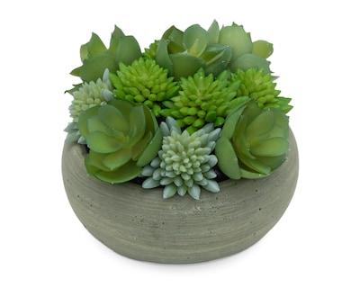 Foto 2 | Foto 2 | Suculenta Artificial con Maceta Starhaus 10 cm