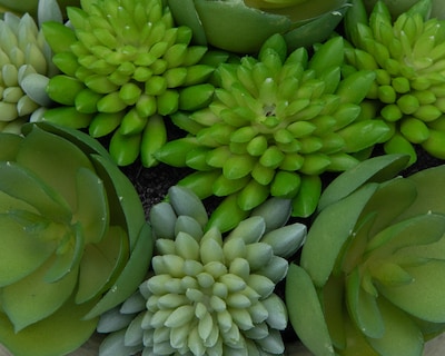 Foto 3 | Foto 3 | Suculenta Artificial con Maceta Starhaus 10 cm