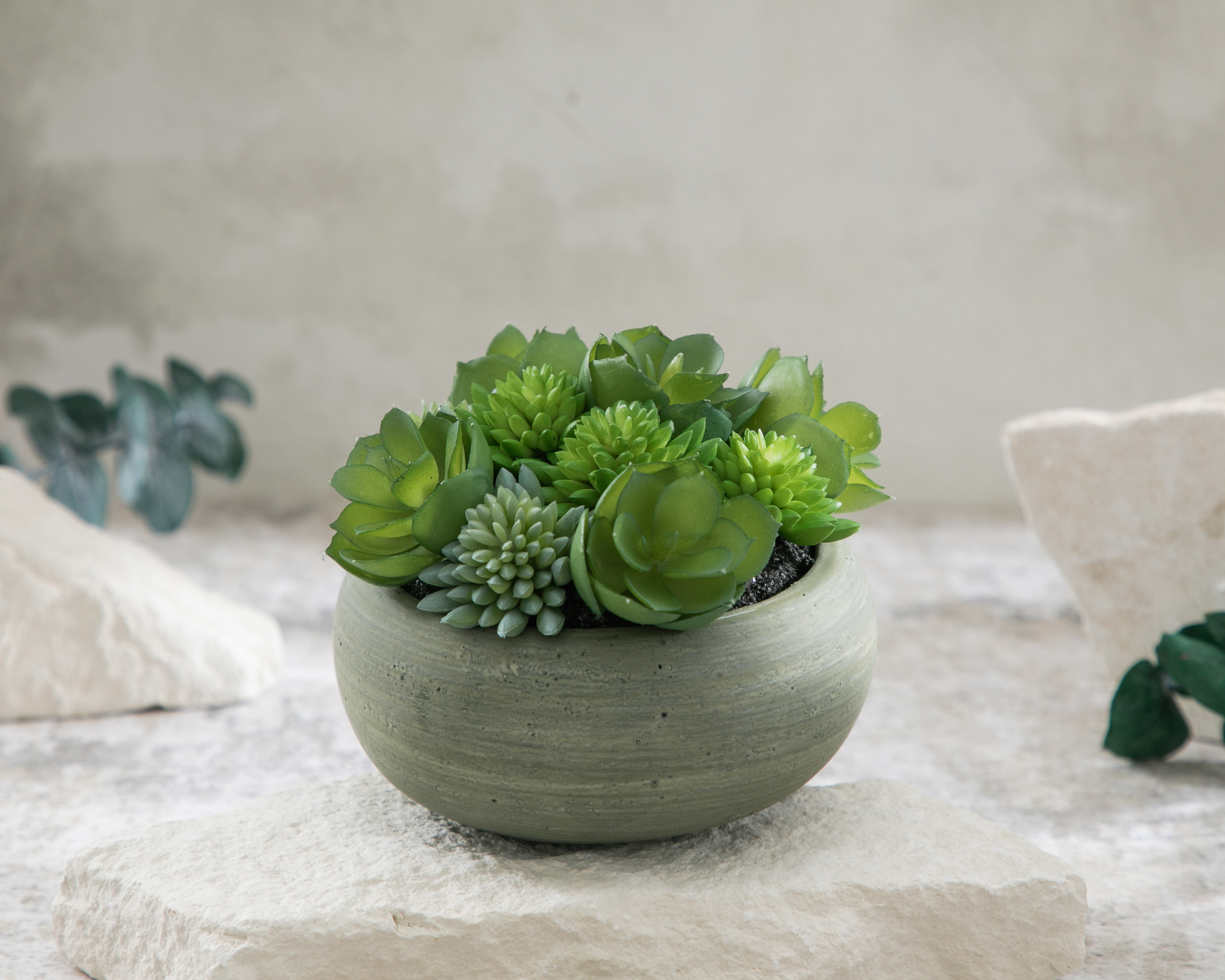 Foto 5 pulgar | Foto 4 | Suculenta Artificial con Maceta Starhaus 10 cm