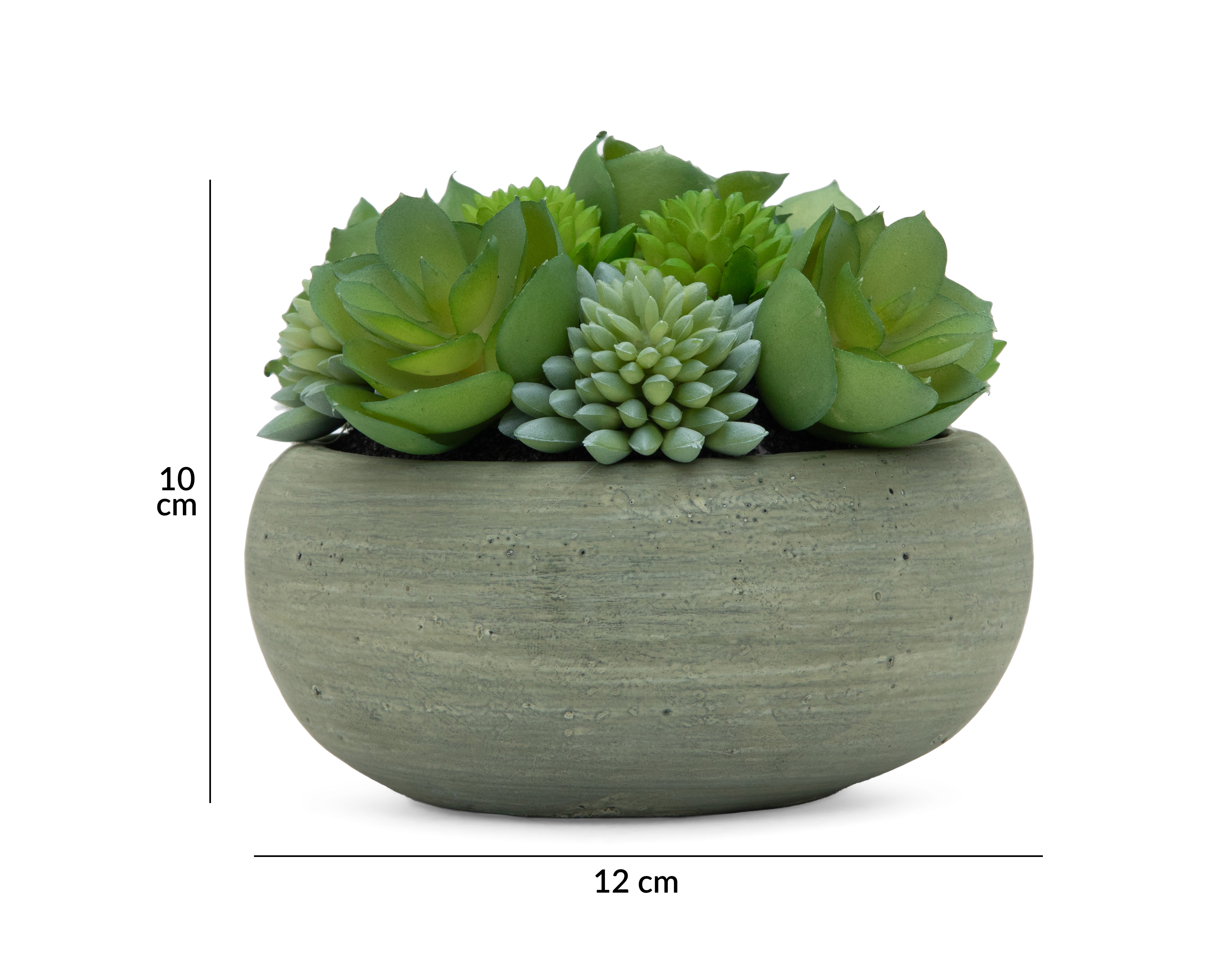 Foto 6 pulgar | Foto 5 | Suculenta Artificial con Maceta Starhaus 10 cm
