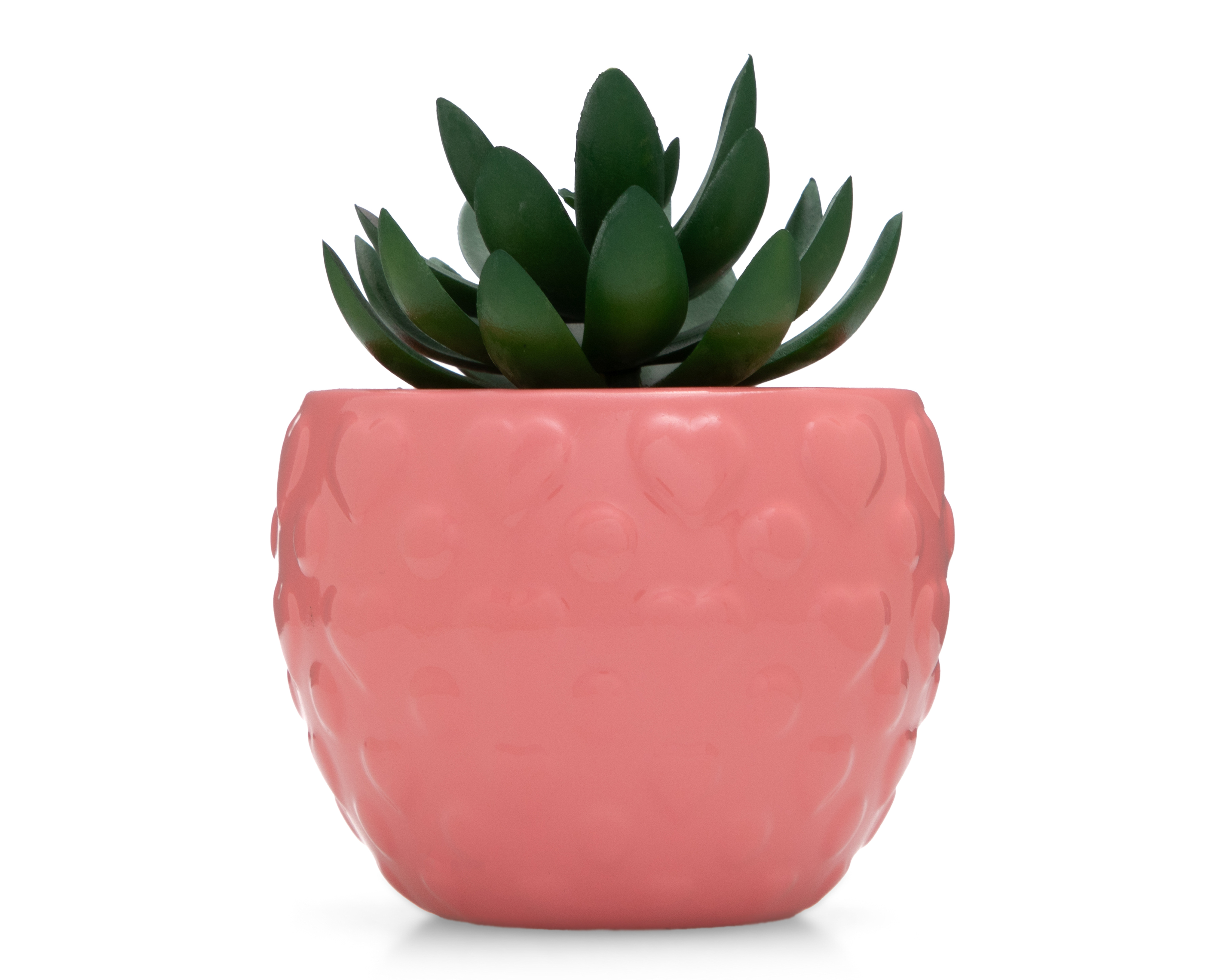 Suculenta Artificial con Maceta Starhaus 11 cm