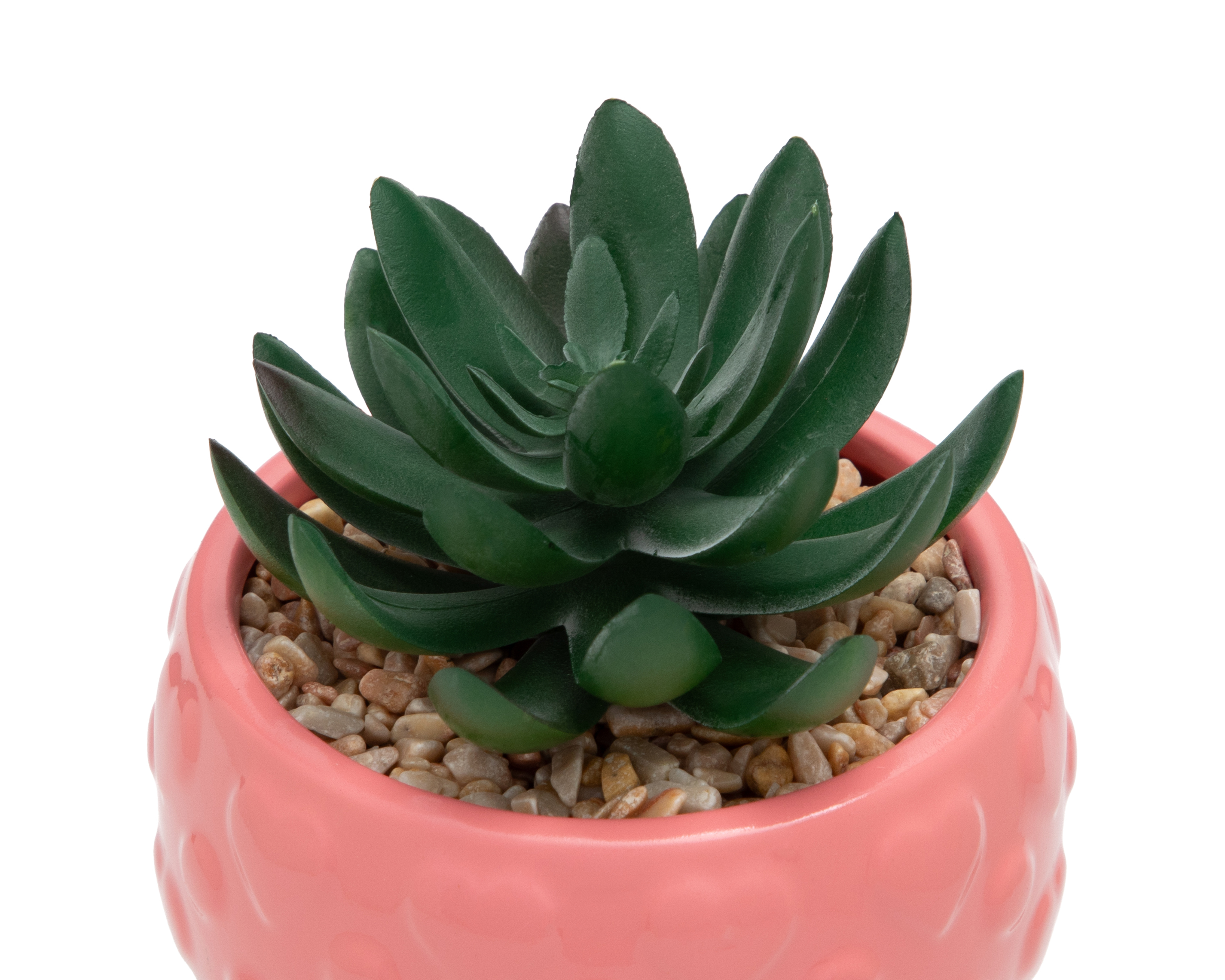 Foto 4 pulgar | Foto 3 | Suculenta Artificial con Maceta Starhaus 11 cm