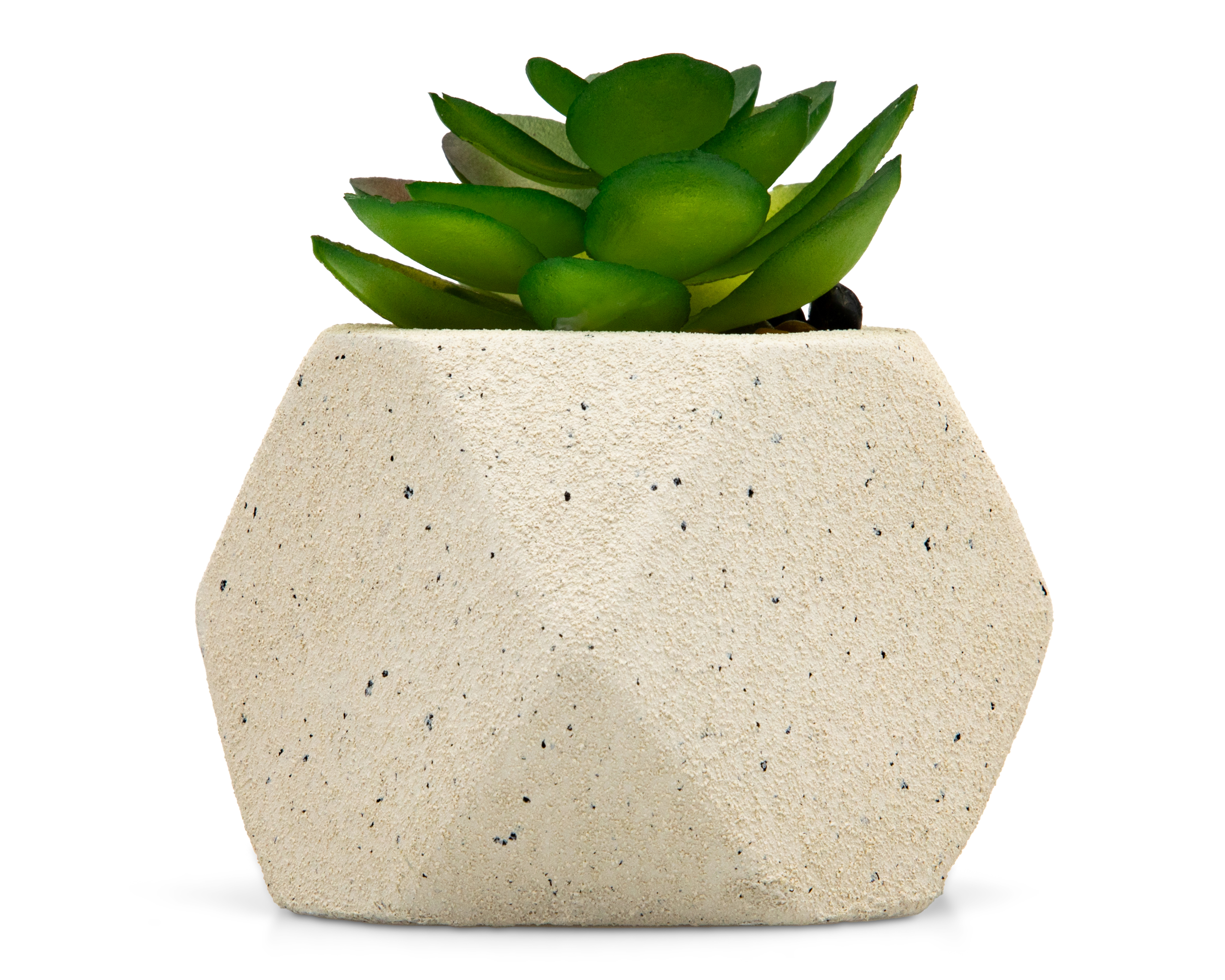 Suculenta Artificial con Maceta Starhaus 8 cm