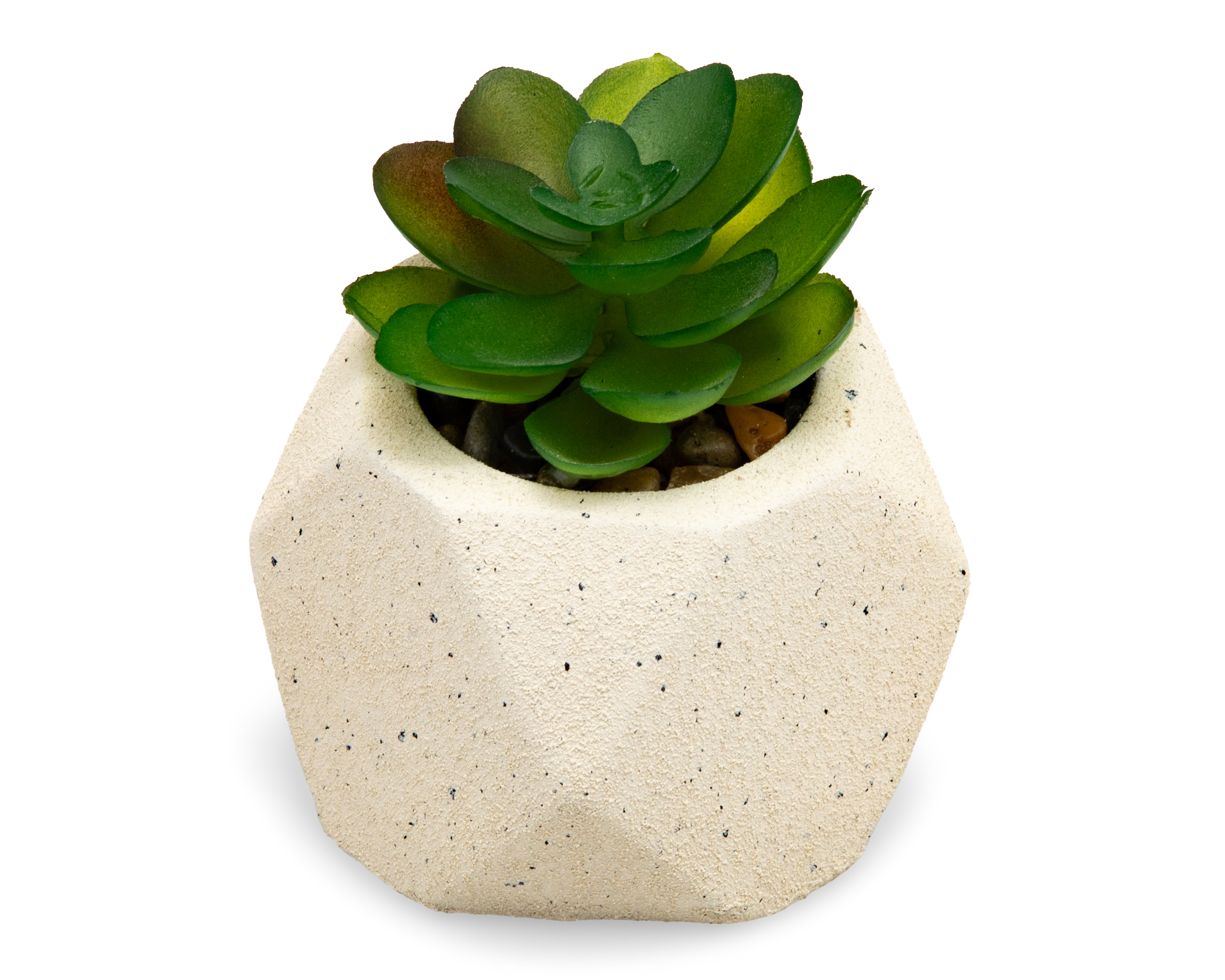 Foto 2 | Foto 2 | Suculenta Artificial con Maceta Starhaus 8 cm