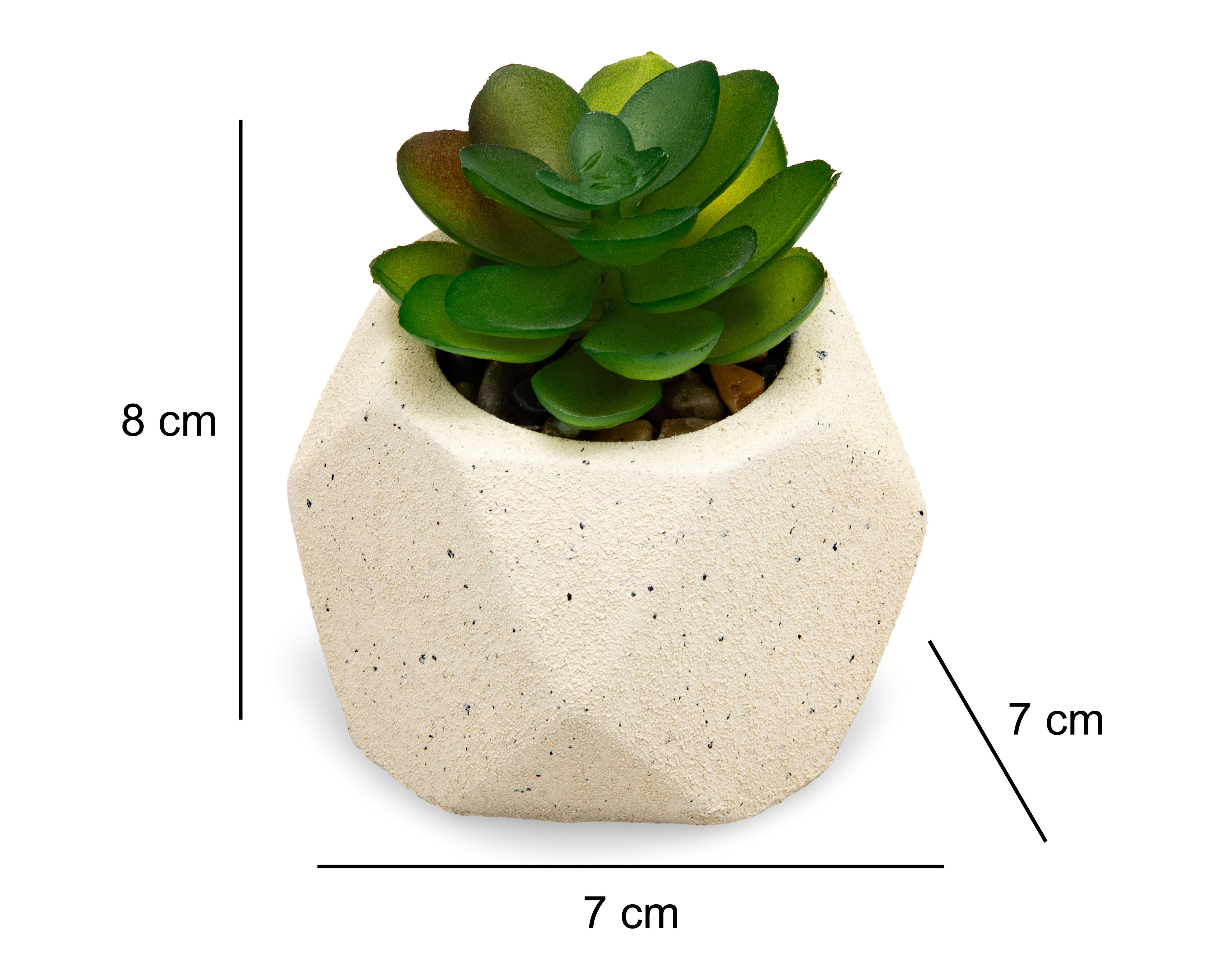 Foto 5 | Foto 5 | Suculenta Artificial con Maceta Starhaus 8 cm