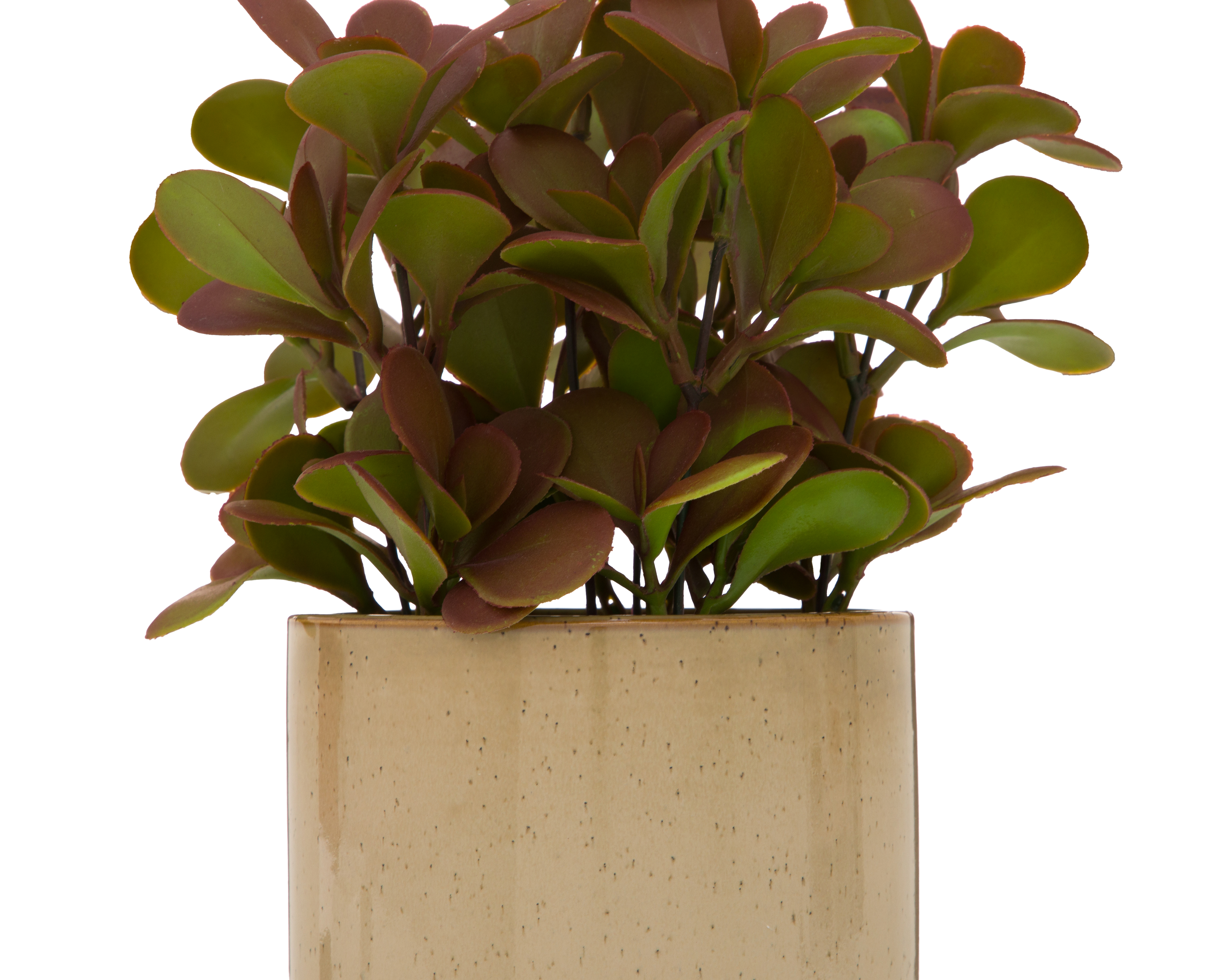 Foto 4 pulgar | Foto 3 | Crassula Artificial con Maceta Starhaus 25 cm