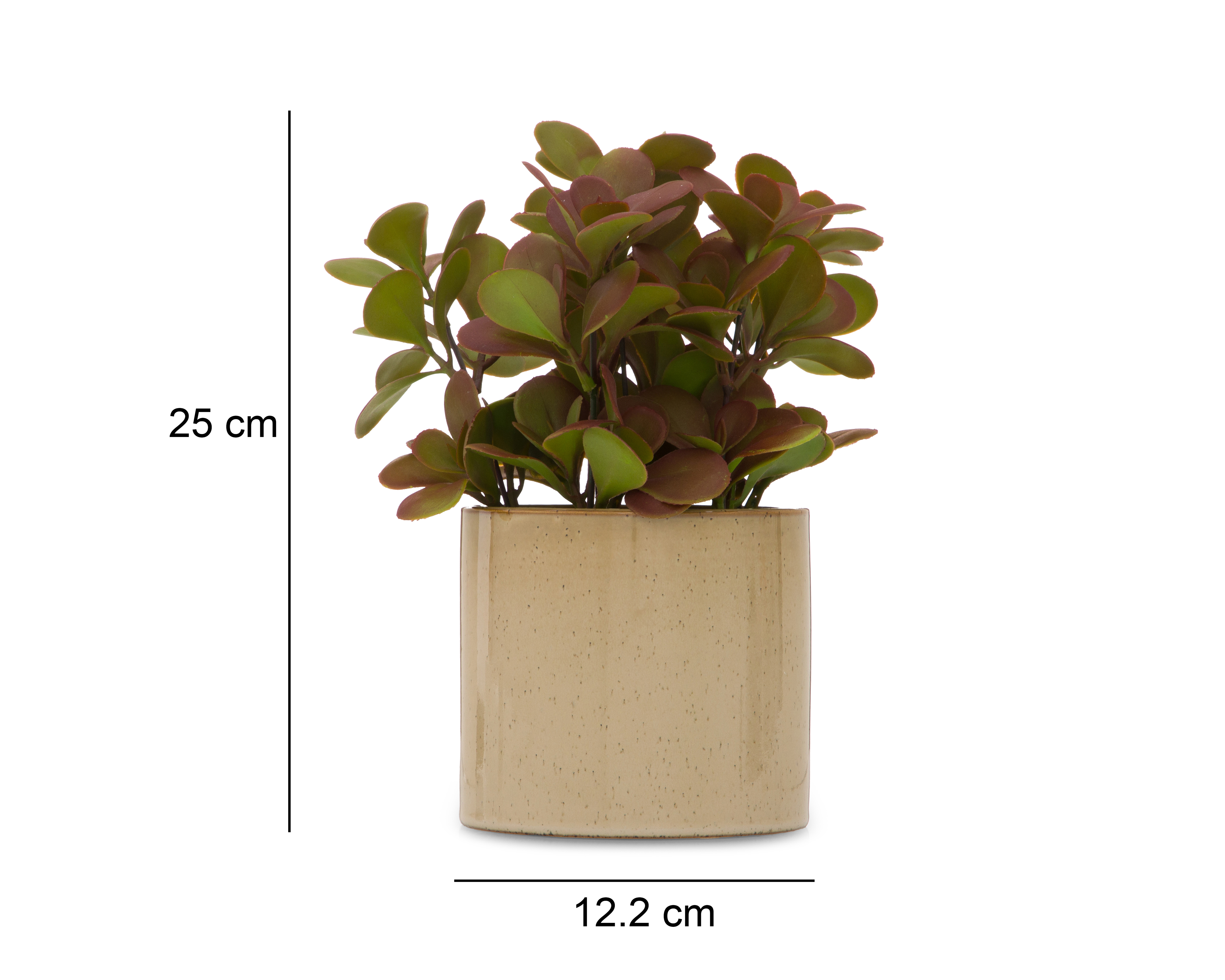 Foto 6 pulgar | Foto 5 | Crassula Artificial con Maceta Starhaus 25 cm