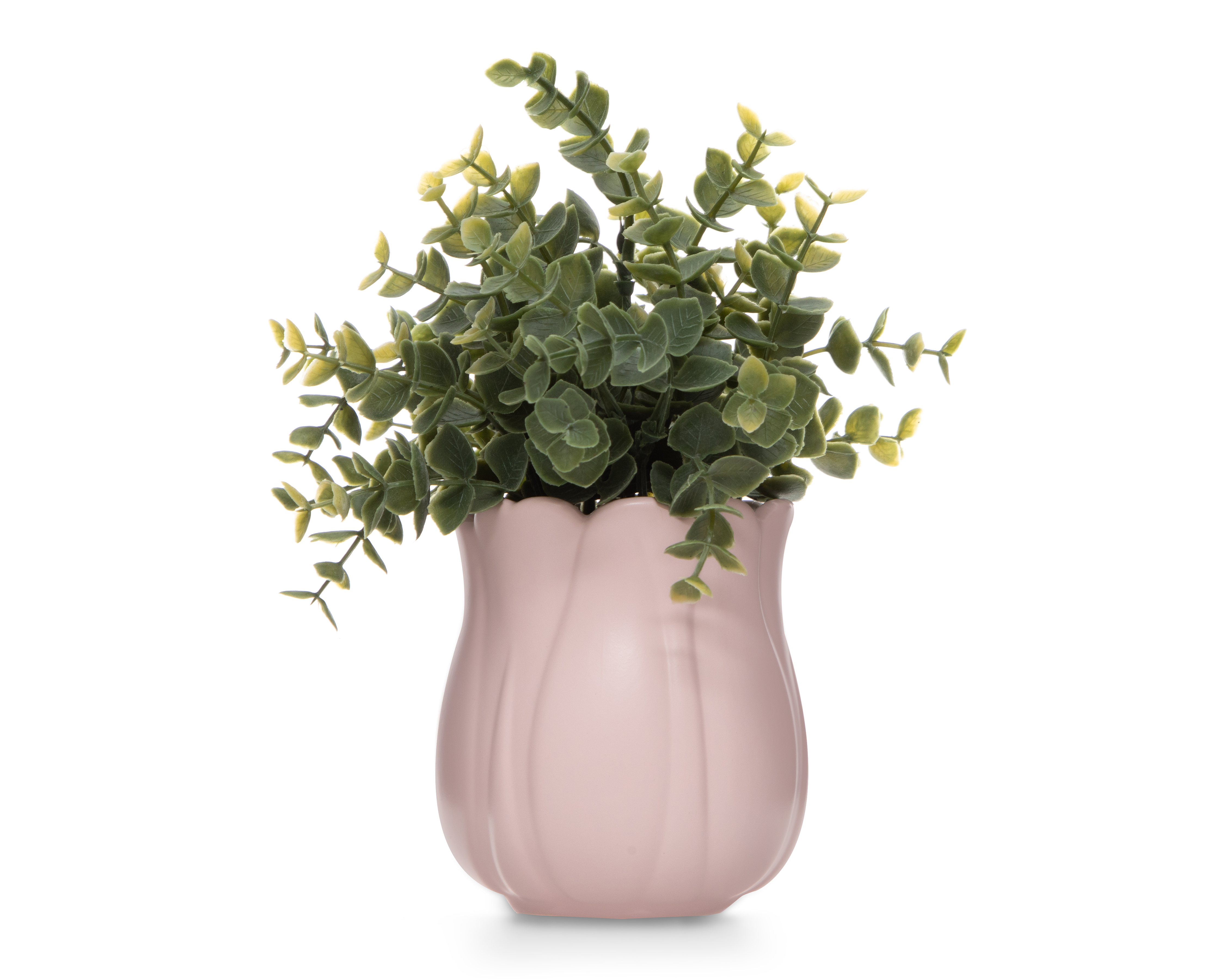 Planta Decorativa con Maceta Starhaus 23.5 cm