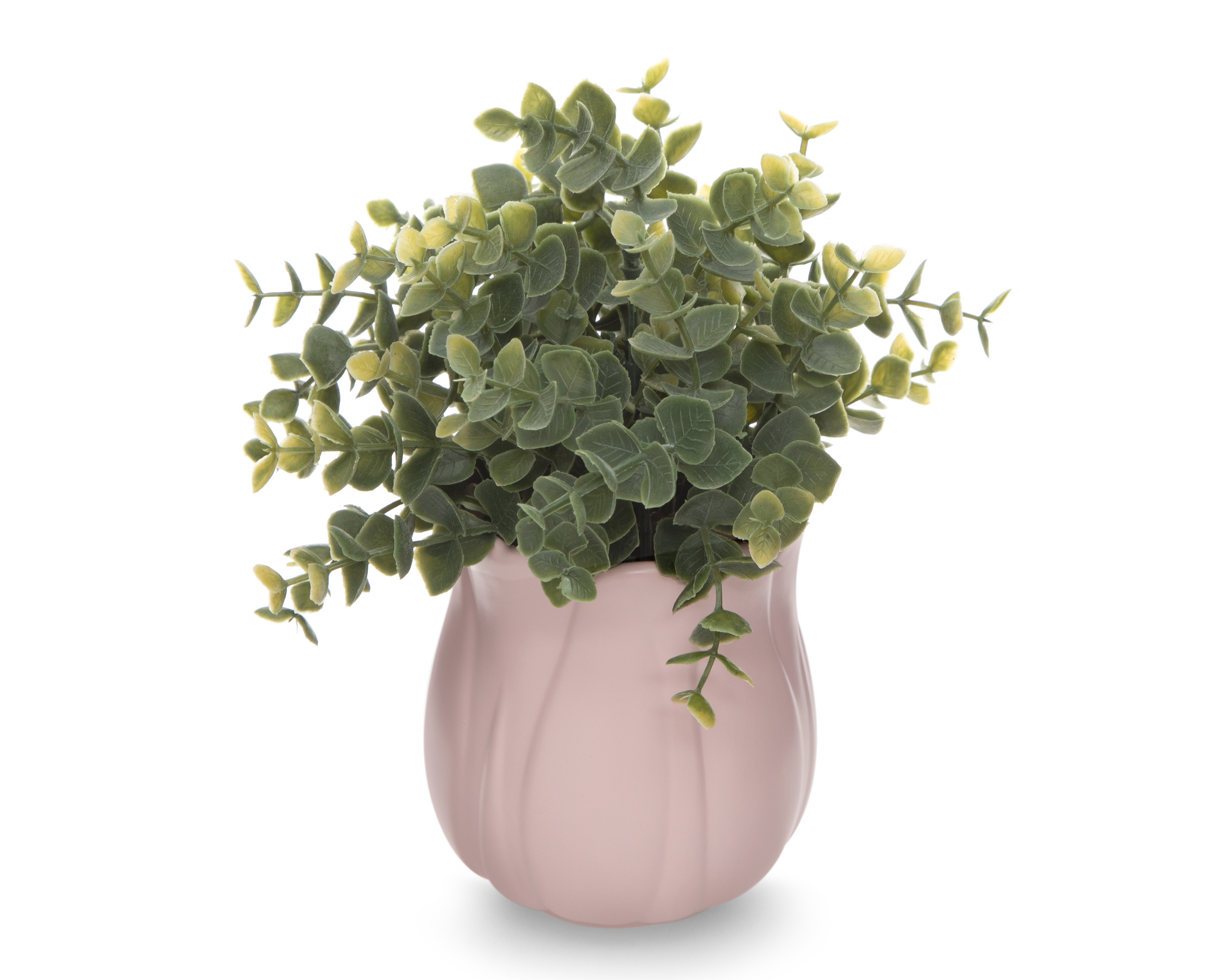 Foto 3 pulgar | Foto 2 | Planta Decorativa con Maceta Starhaus 23.5 cm