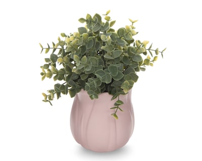Foto 2 | Foto 2 | Planta Decorativa con Maceta Starhaus 23.5 cm