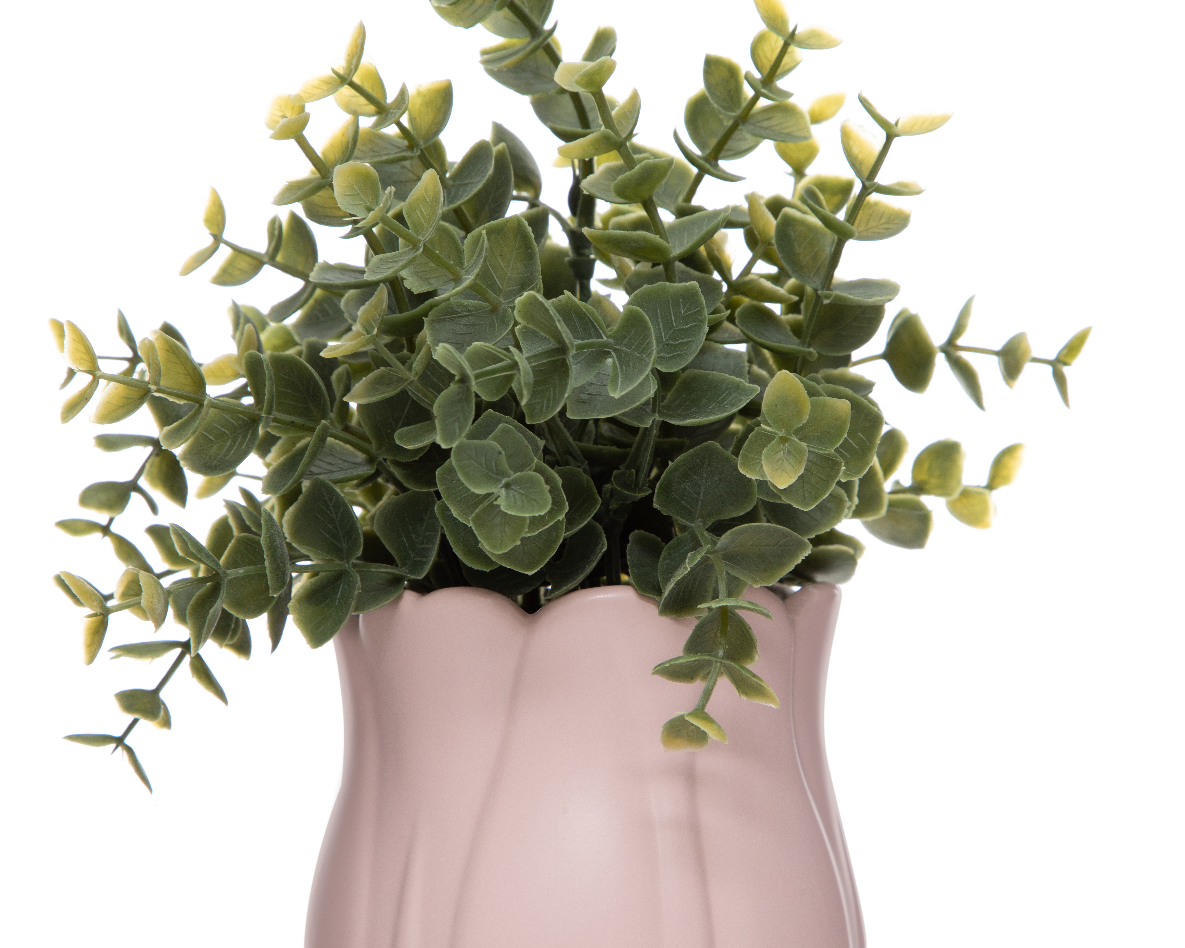 Foto 4 pulgar | Foto 3 | Planta Decorativa con Maceta Starhaus 23.5 cm
