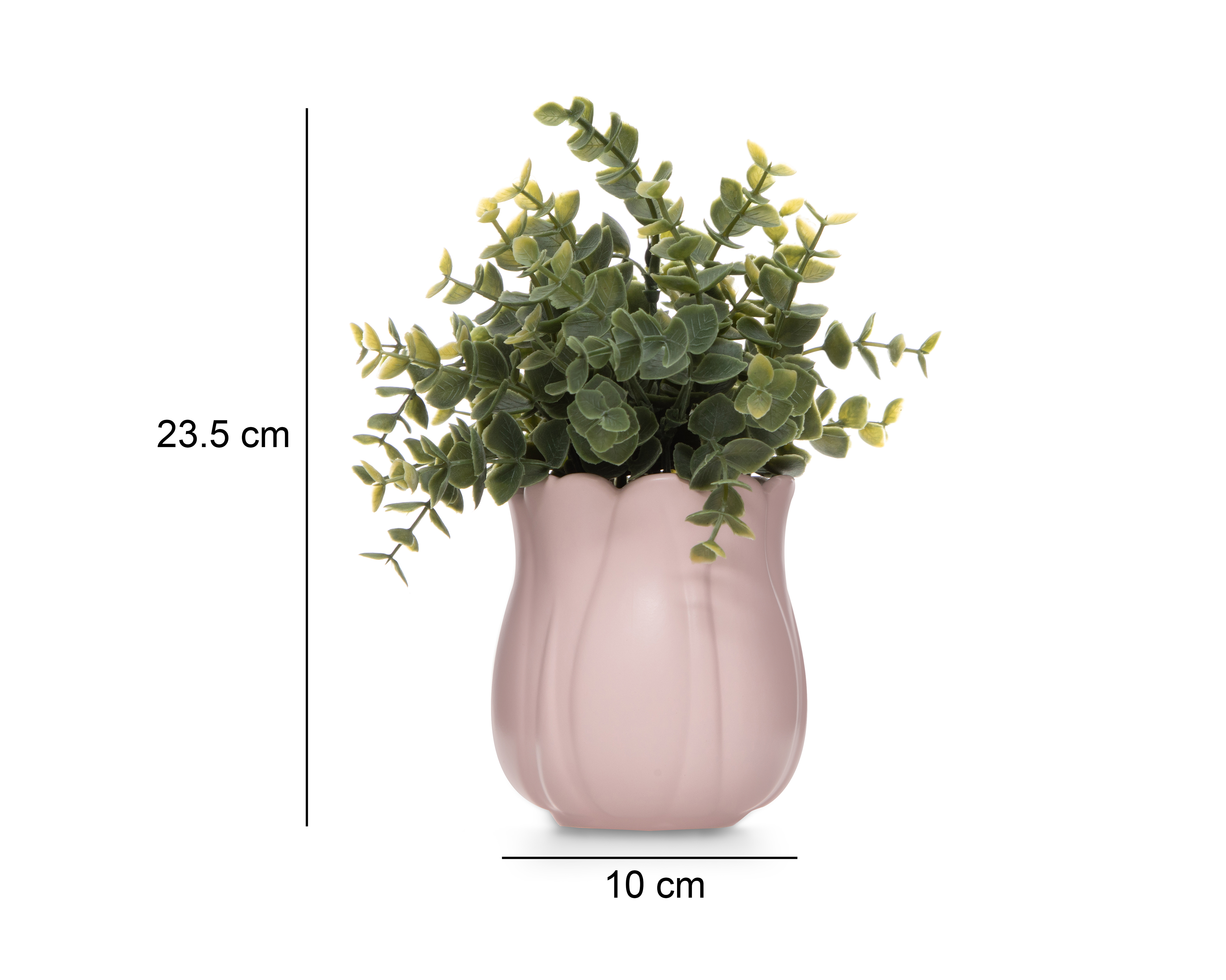Foto 6 pulgar | Foto 5 | Planta Decorativa con Maceta Starhaus 23.5 cm