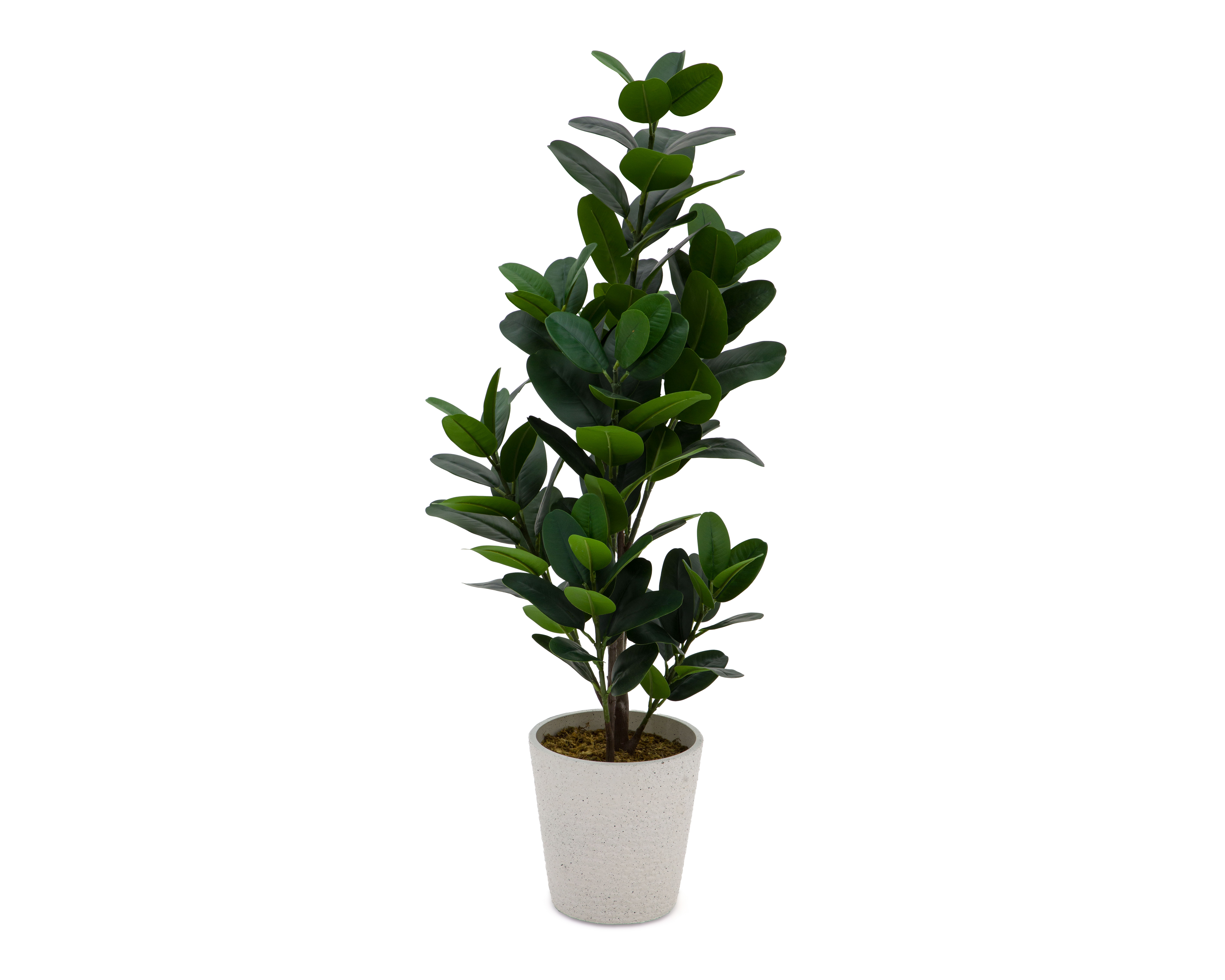 Foto 2 | Foto 2 | Ficus Artificial con Maceta Starhaus 100 cm